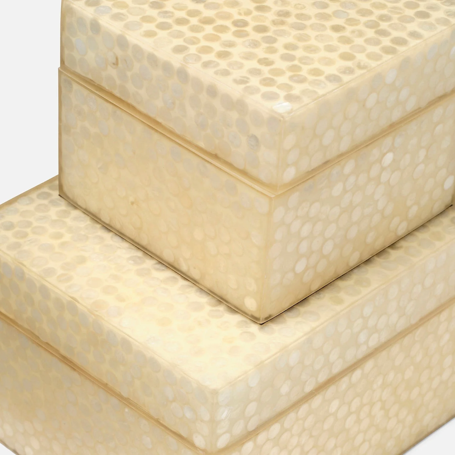 Albus Decorative Box - Set of 2 - Image 6