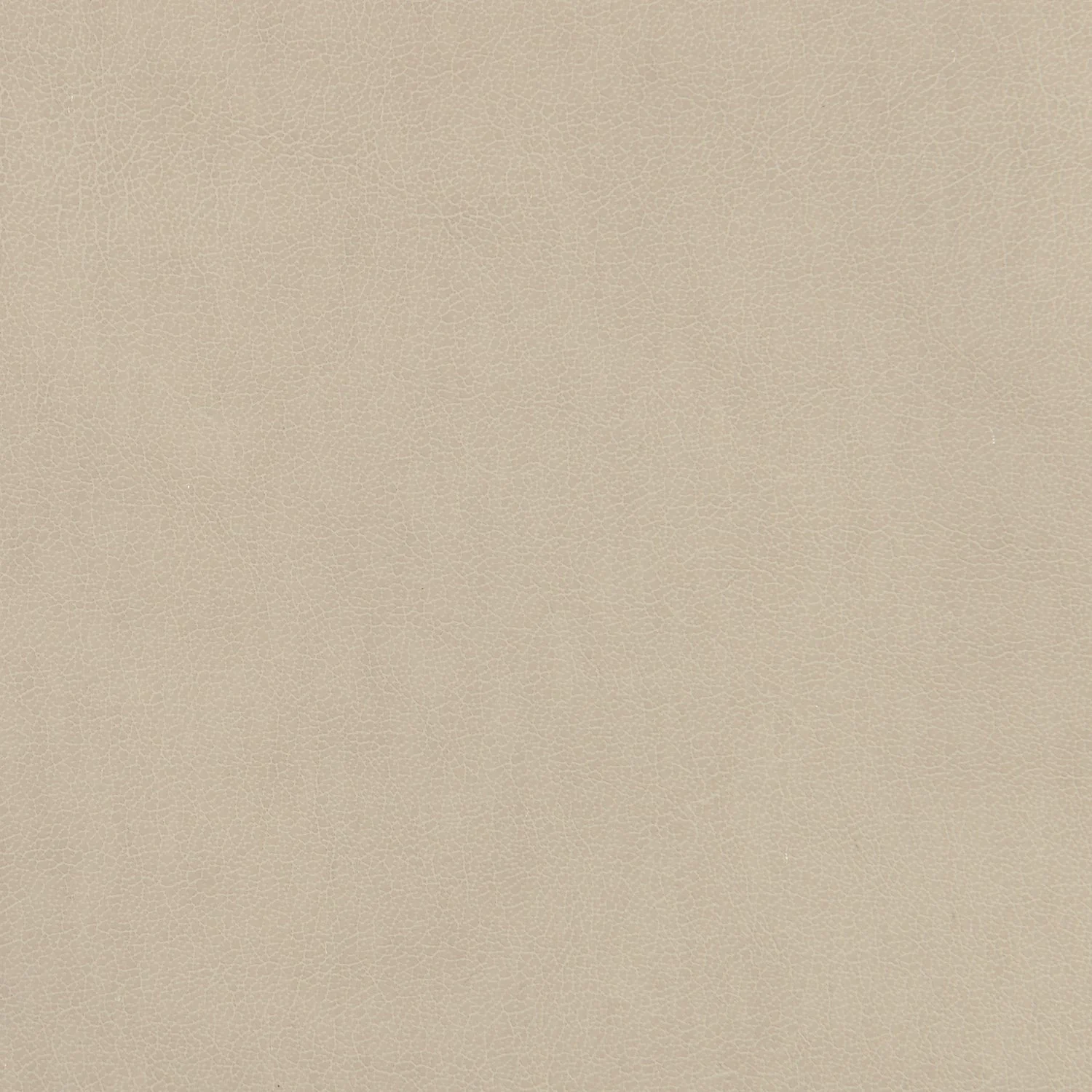 Caracole Classic Tall Order Side Chair Clearance - Image 11