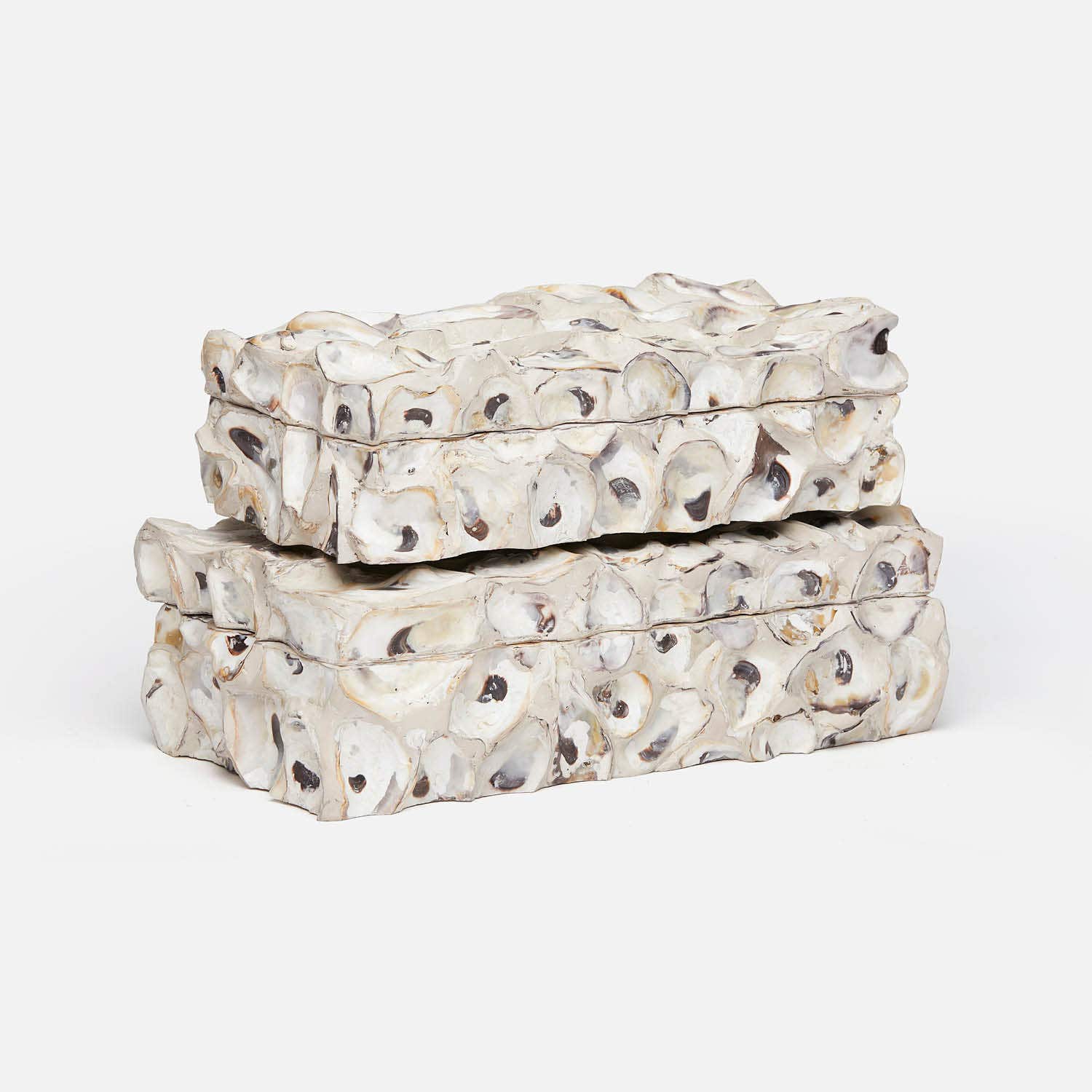 Cove Oyster Shell Box - Set of 2 - Image 2