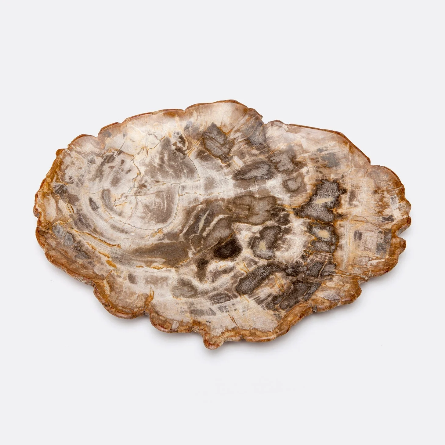 Dashiell Petrified Wood Tray - Image 5