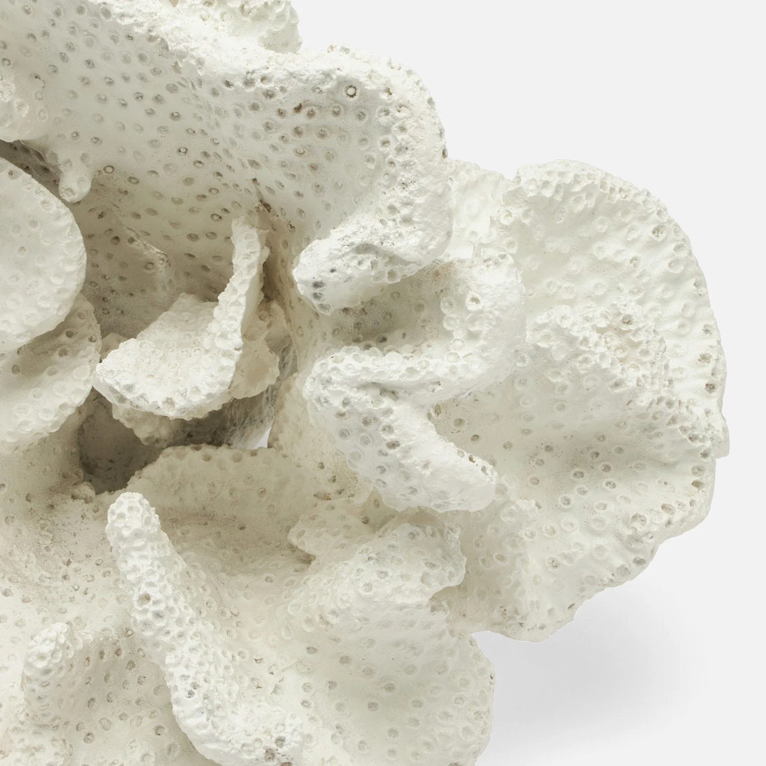 Dempsey Faux Sea Sponge Sculpture - Image 10