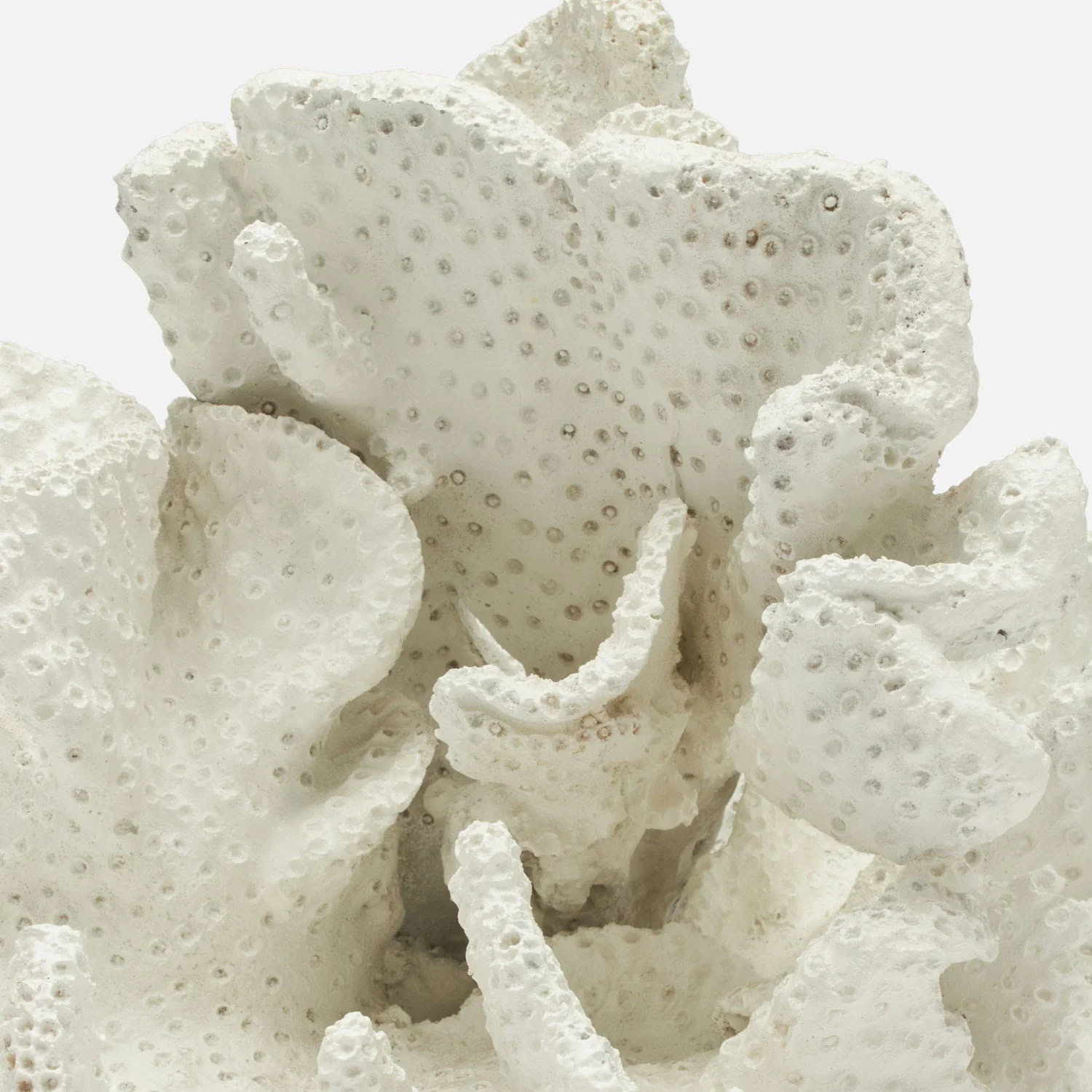 Dempsey Faux Sea Sponge Sculpture - Image 8