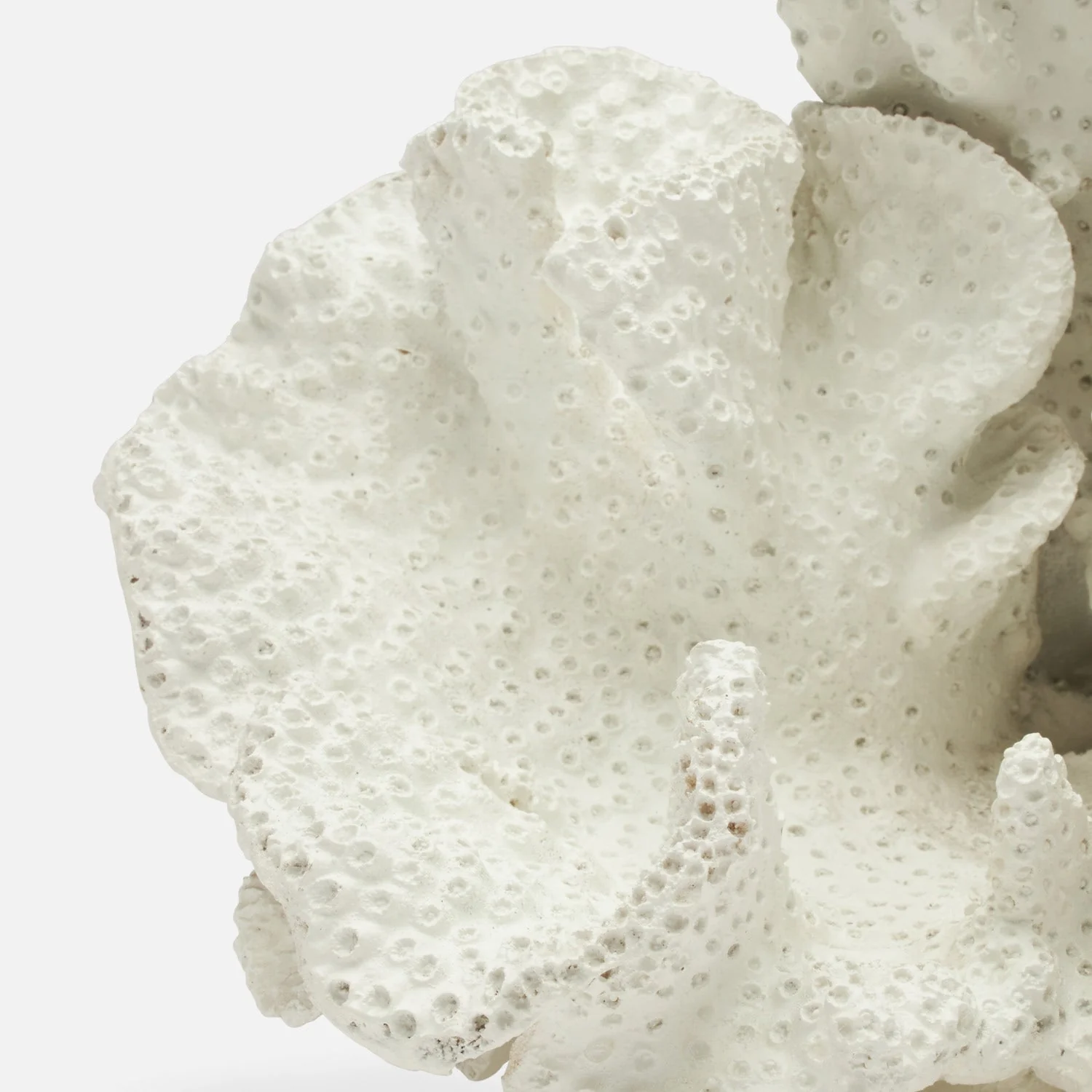 Dempsey Faux Sea Sponge Sculpture - Image 9