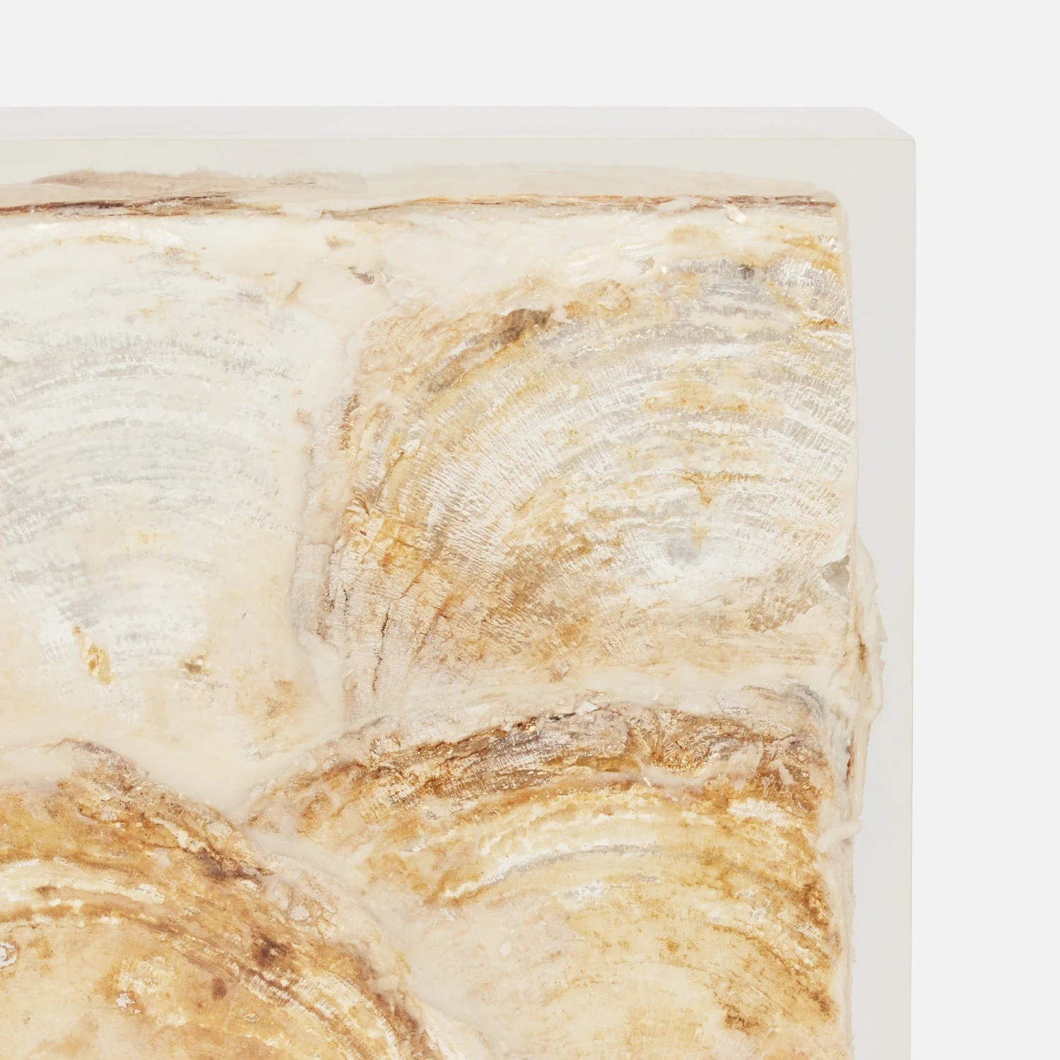 Elara Capiz Shell Bookend Set - Image 3