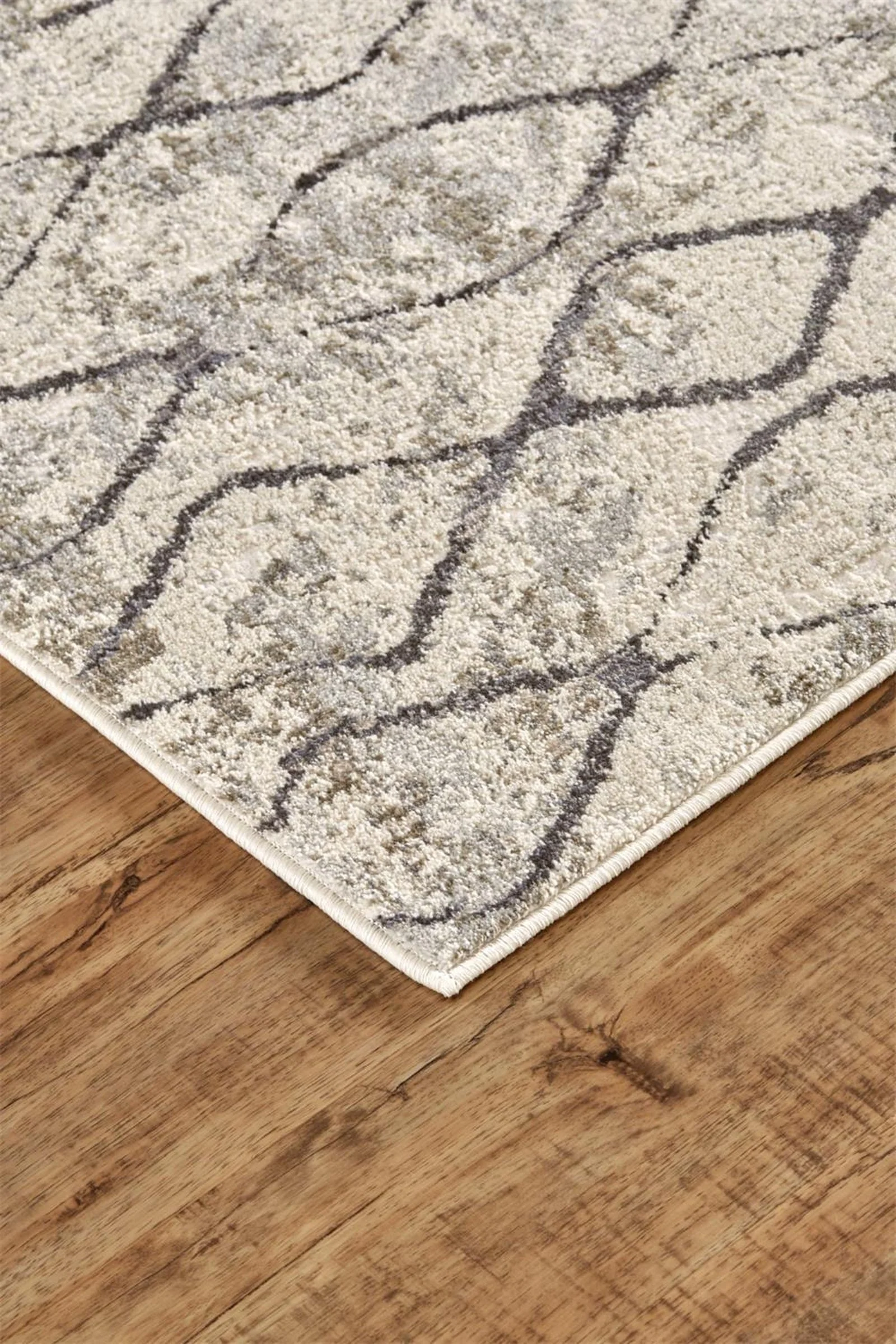 Feizy Kano 3872F Rug in Sand/Charcoal - Image 4