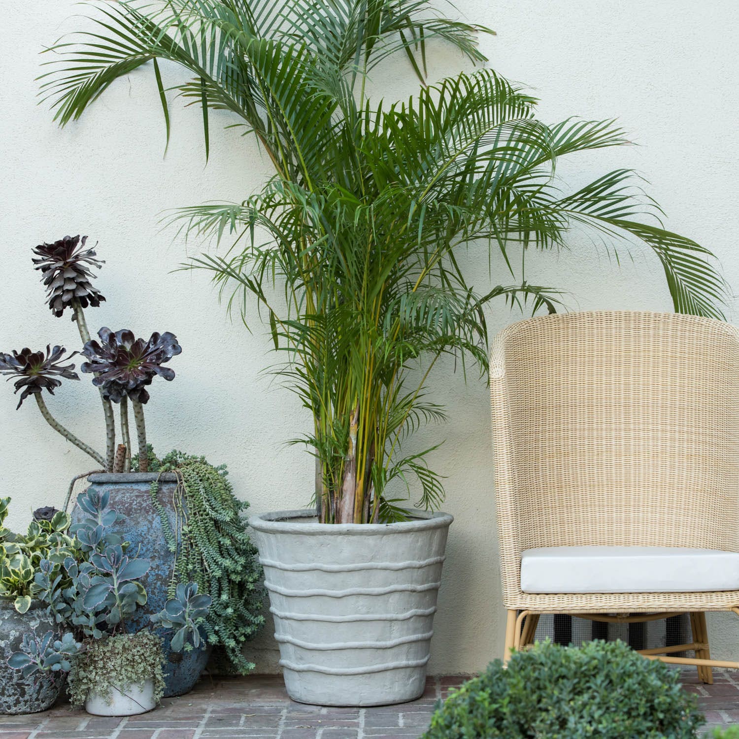 Gerard Planter Pot - Image 2