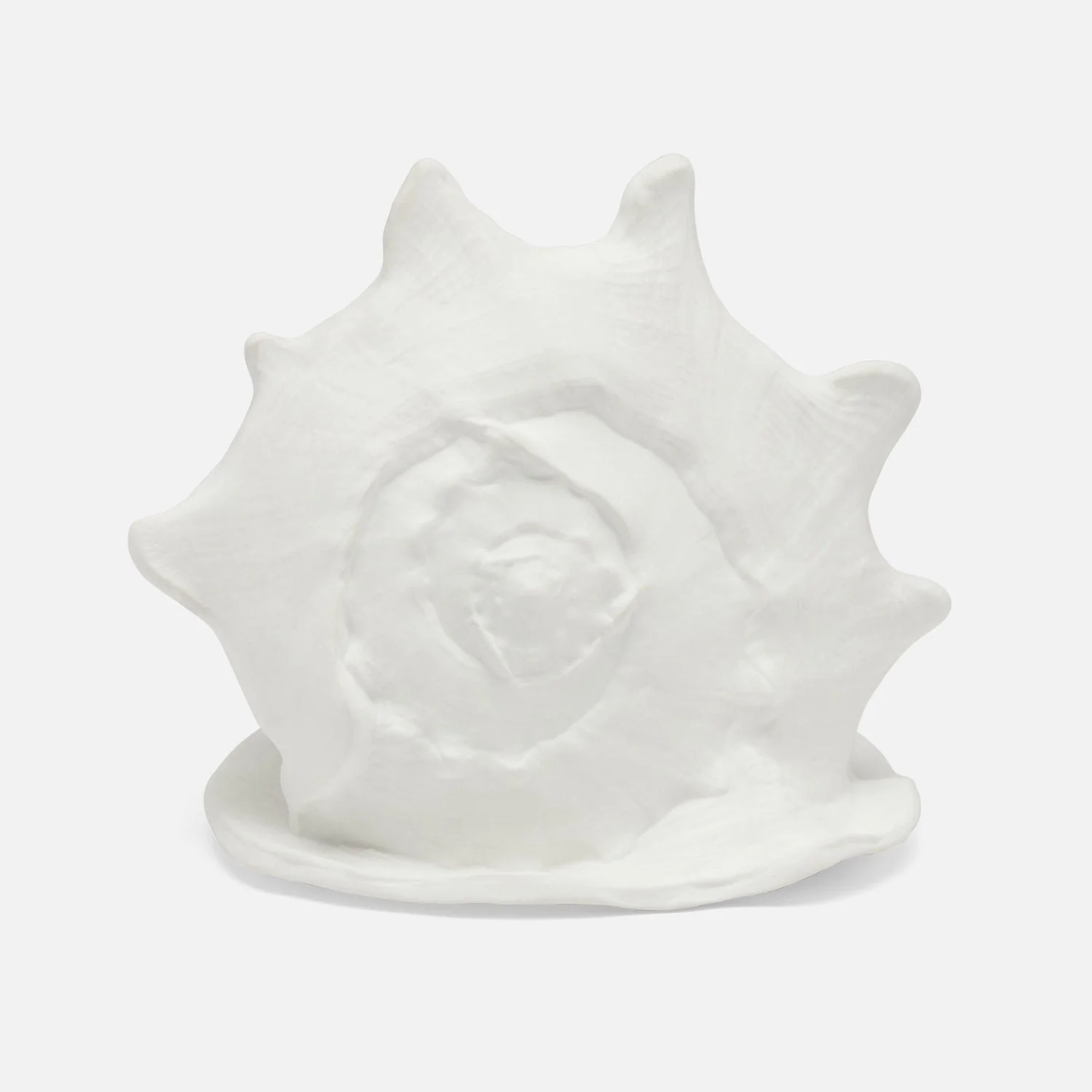 Gian Porcelain Conch Sculpture - Multiple of 2 - Image 11