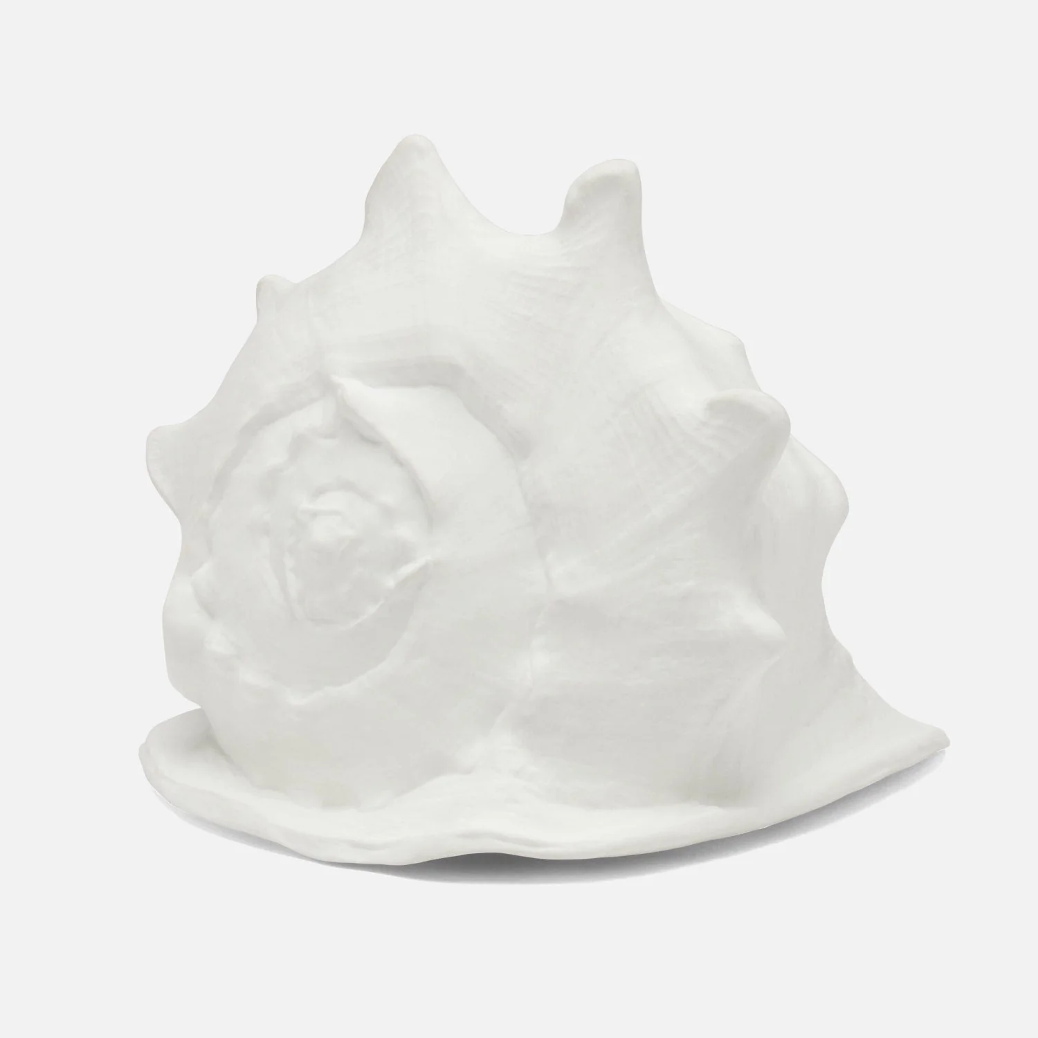 Gian Porcelain Conch Sculpture - Multiple of 2 - Image 17