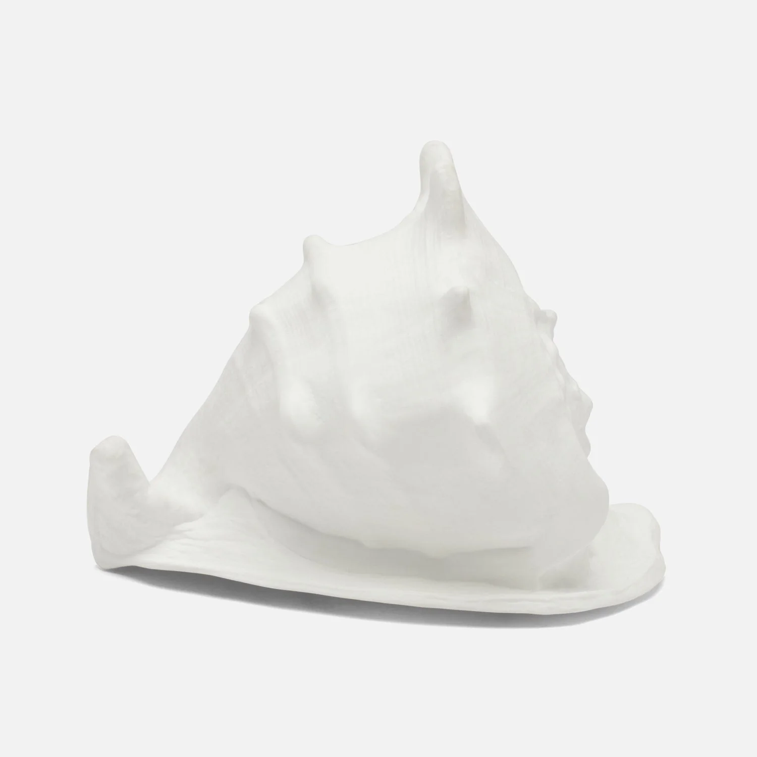 Gian Porcelain Conch Sculpture - Multiple of 2 - Image 18