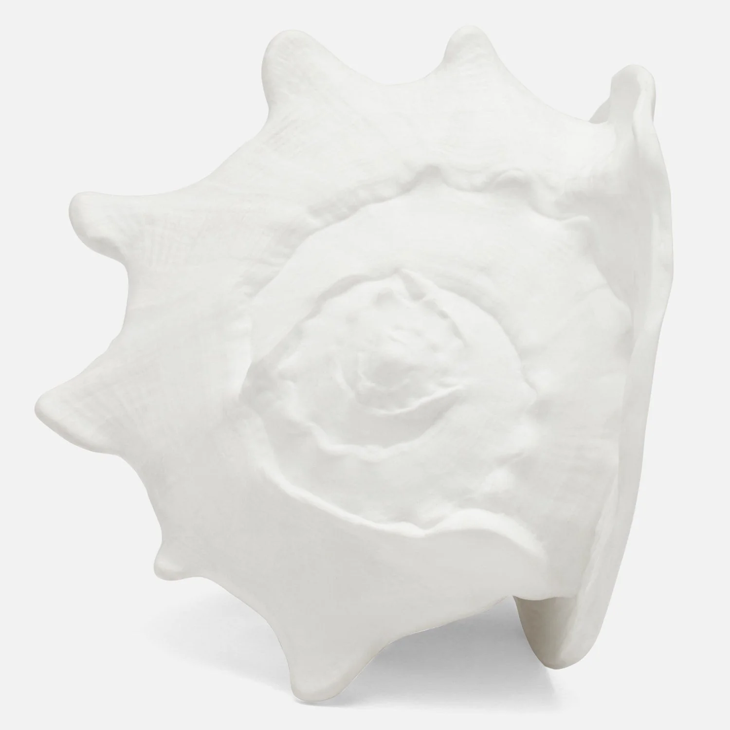 Gian Porcelain Conch Sculpture - Multiple of 2 - Image 20