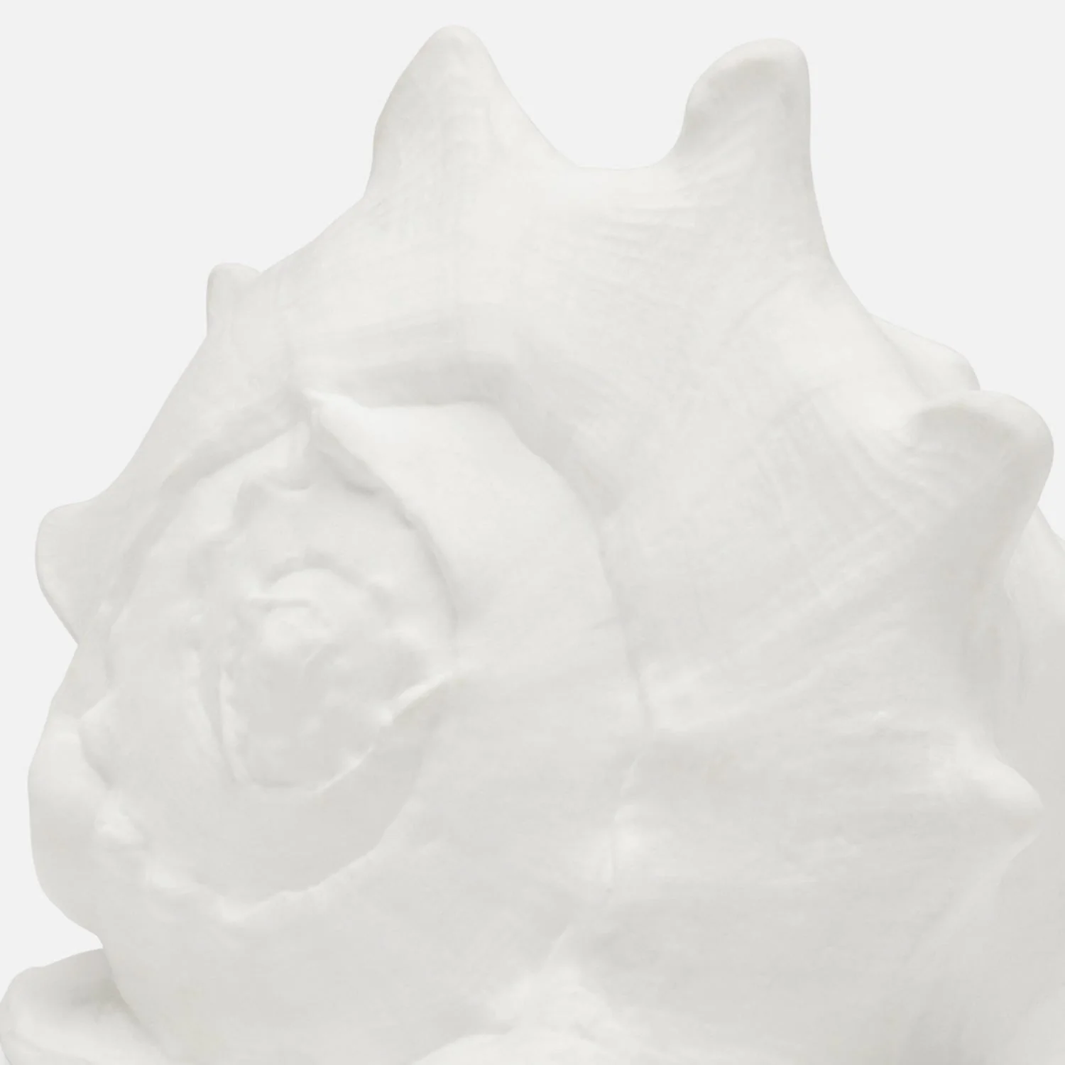Gian Porcelain Conch Sculpture - Multiple of 2 - Image 21