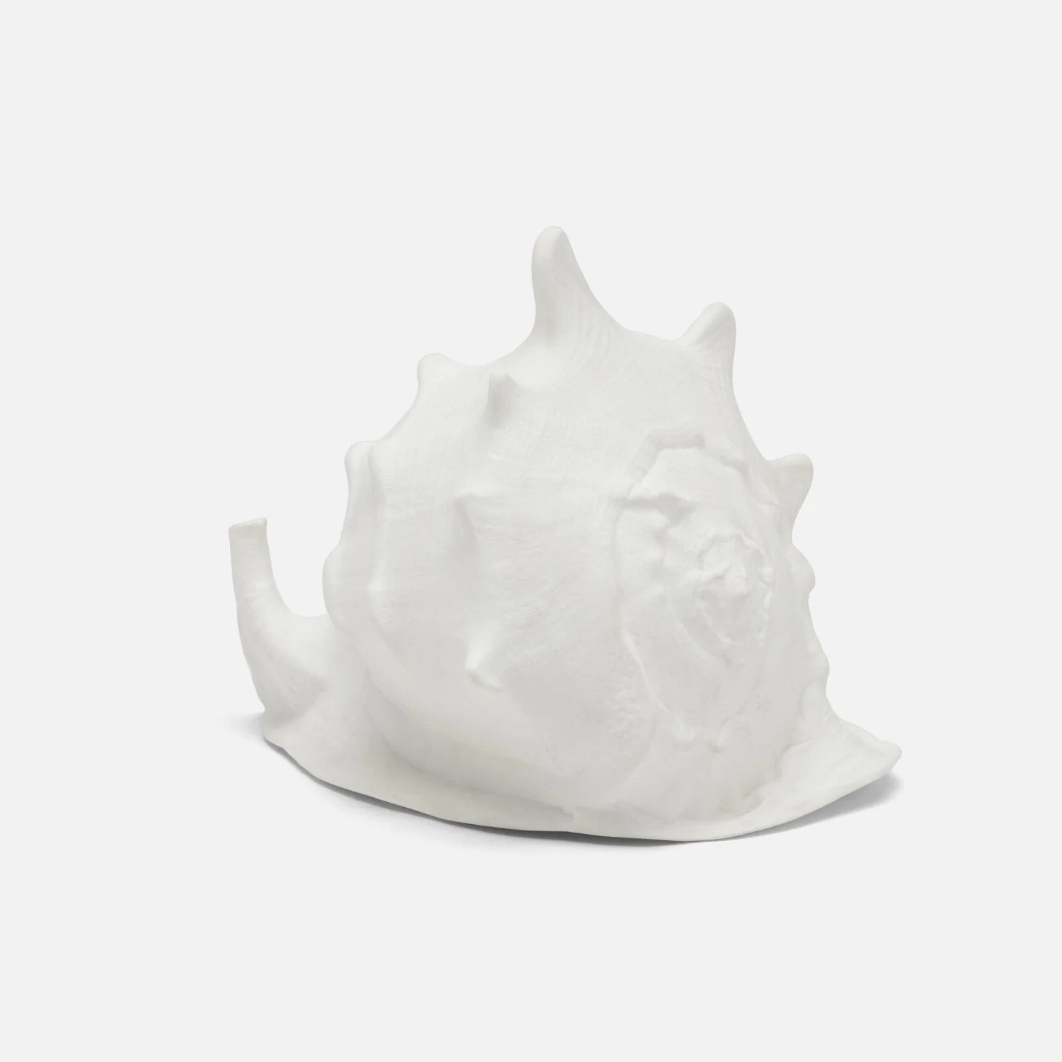 Gian Porcelain Conch Sculpture - Multiple of 2 - Image 4