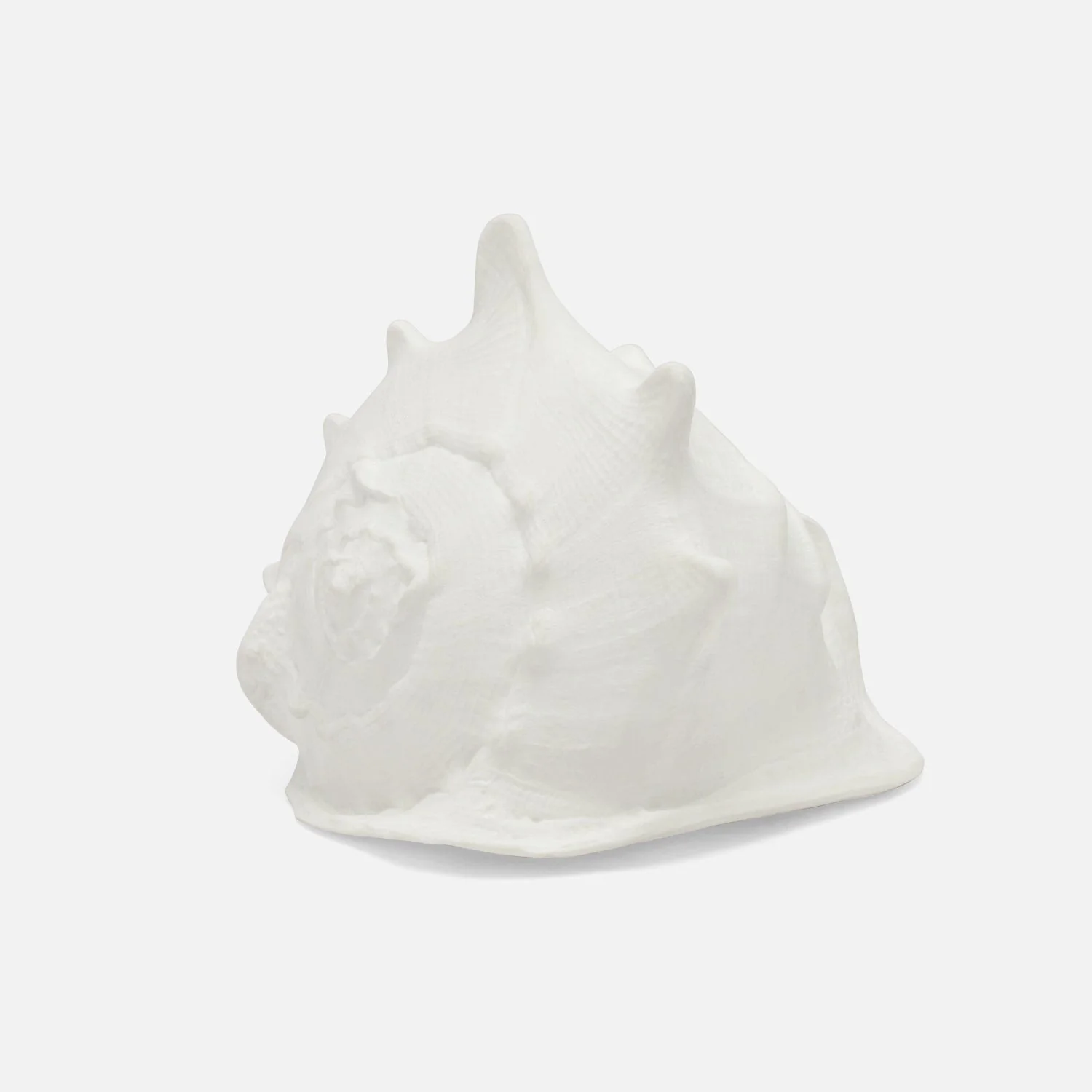 Gian Porcelain Conch Sculpture - Multiple of 2 - Image 5