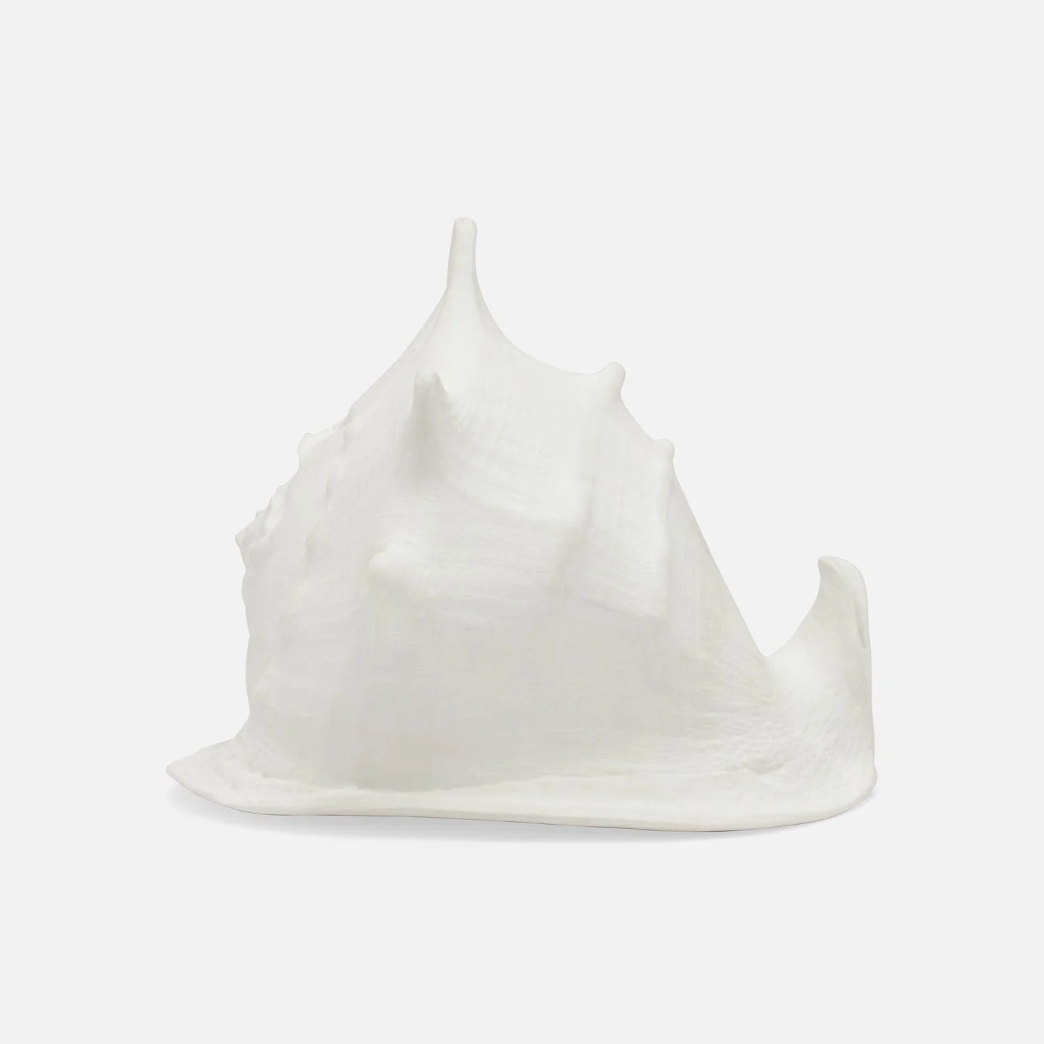 Gian Porcelain Conch Sculpture - Multiple of 2 - Image 6
