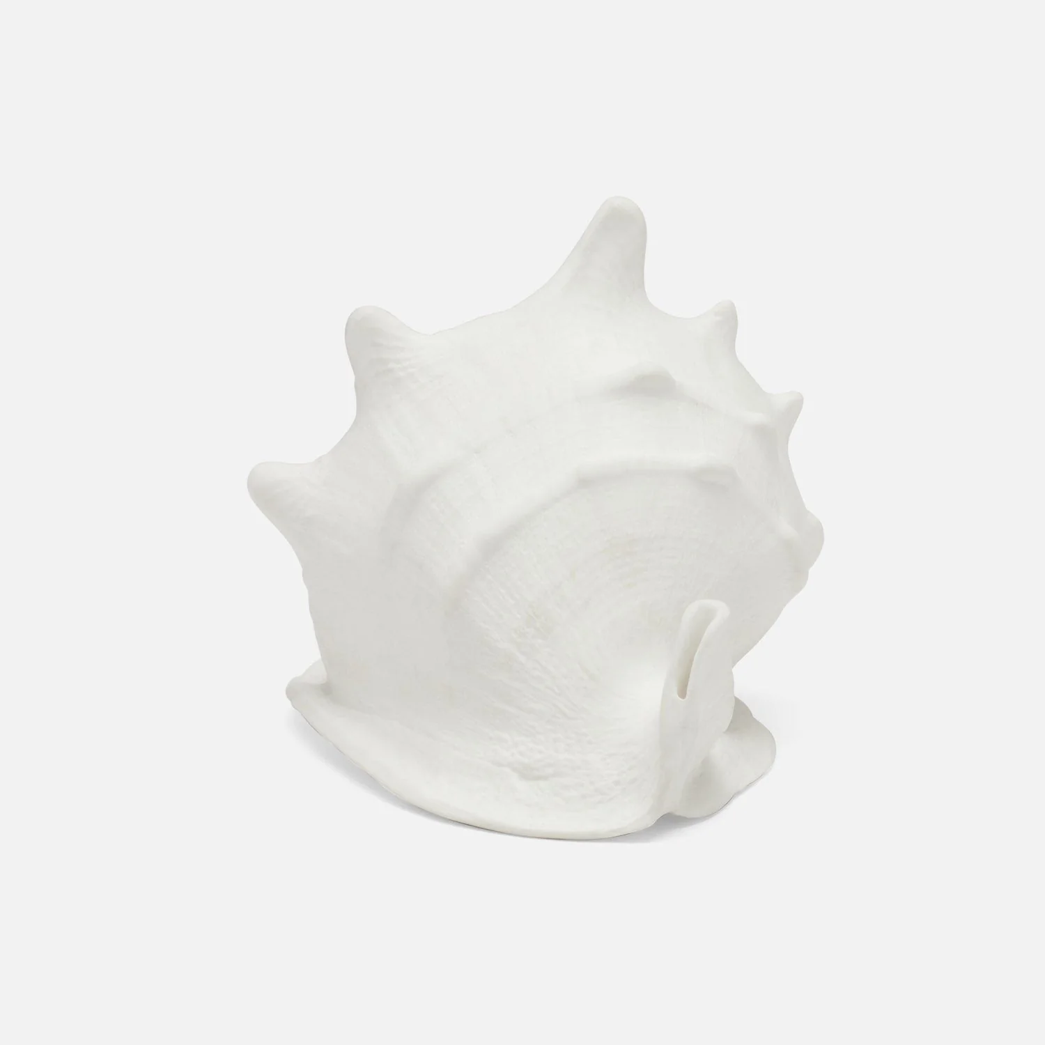 Gian Porcelain Conch Sculpture - Multiple of 2 - Image 7