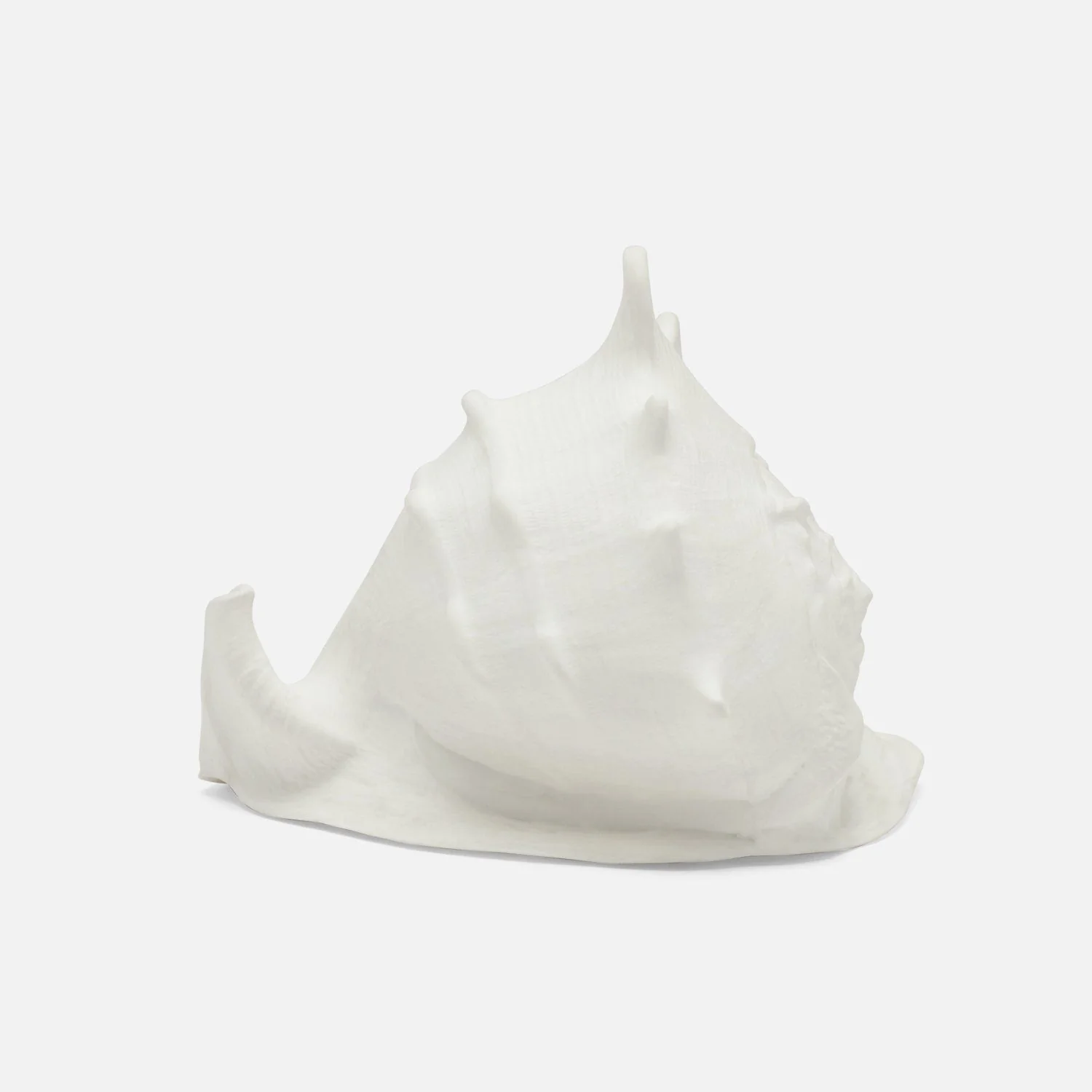 Gian Porcelain Conch Sculpture - Multiple of 2 - Image 8