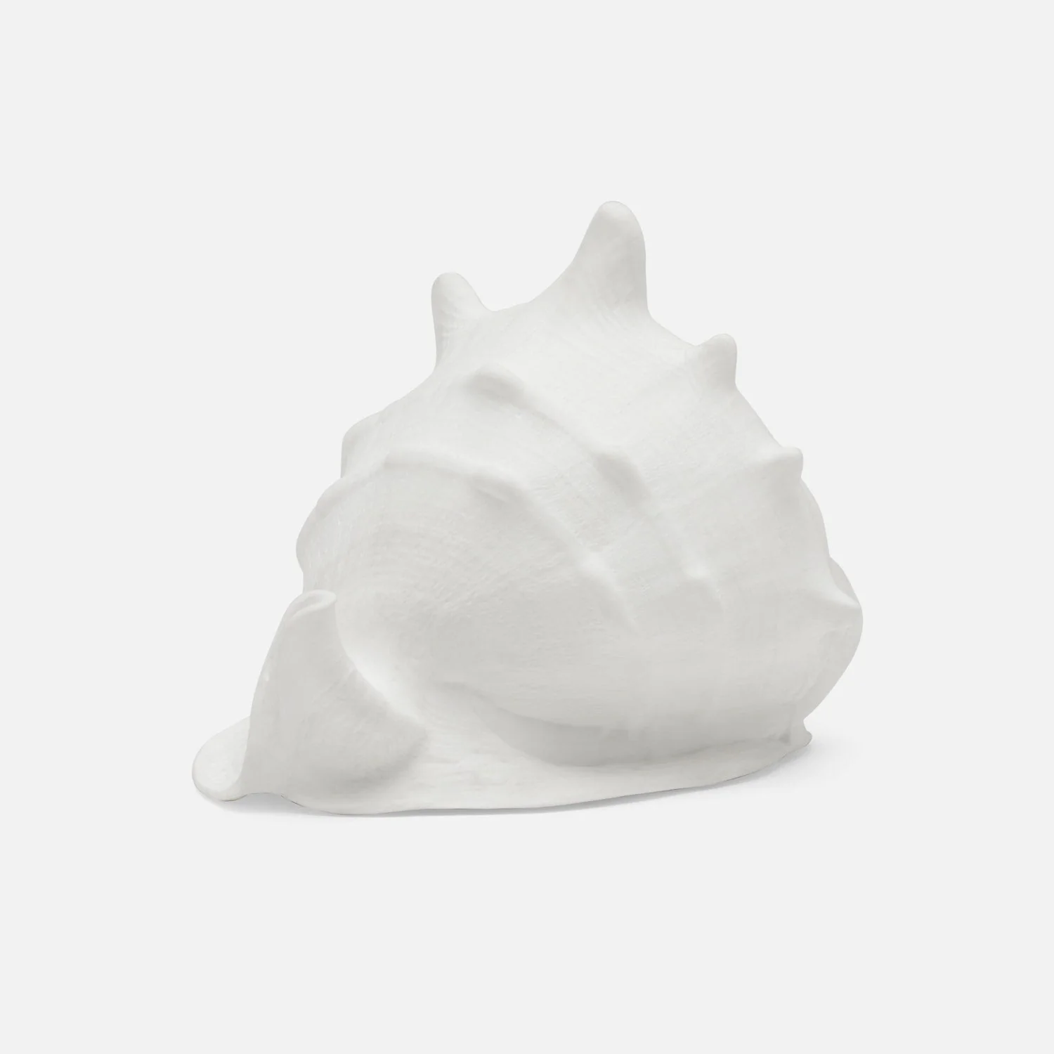 Gian Porcelain Conch Sculpture - Multiple of 2 - Image 9