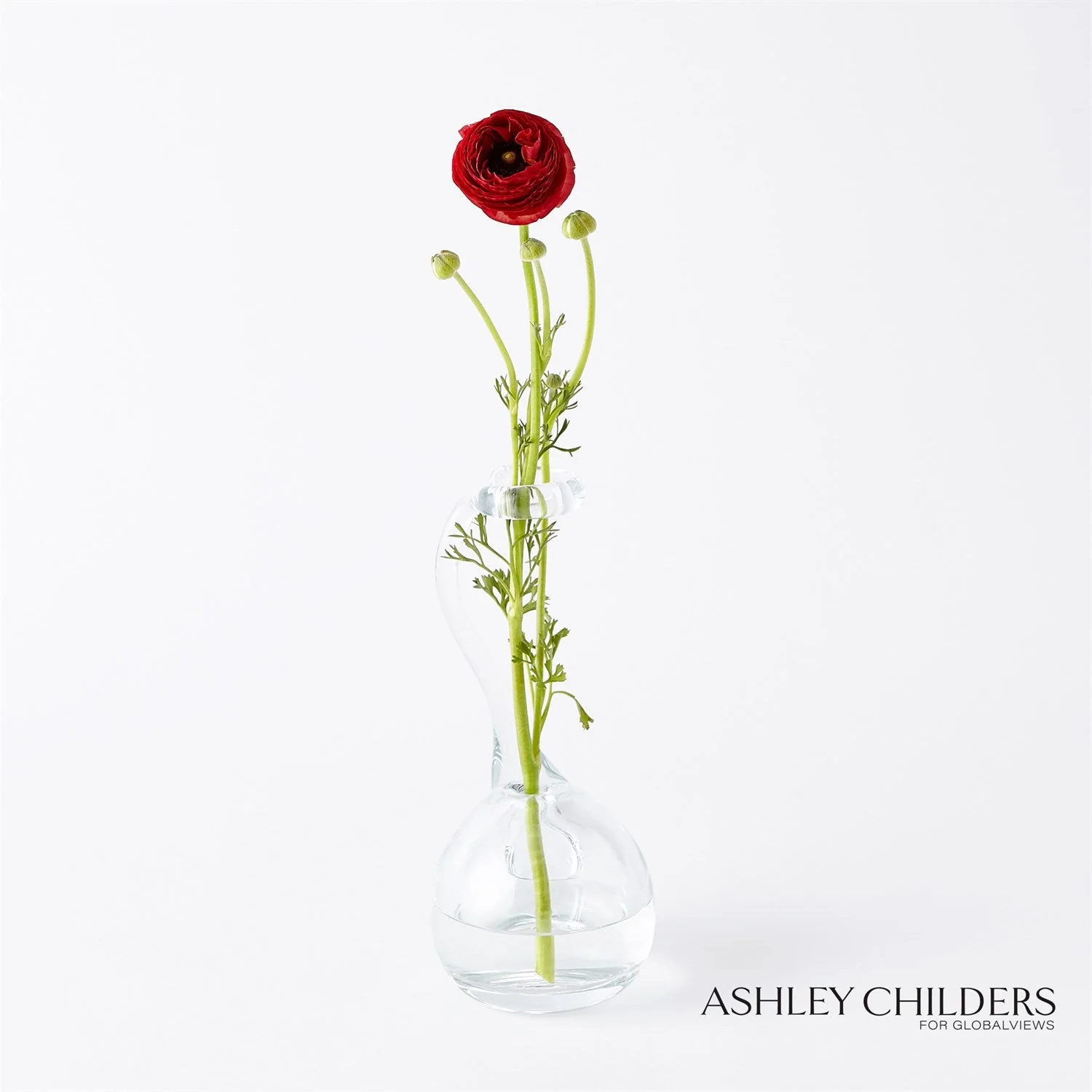 Global Views Clear Ring Flower Vase by Ashley Childers - Image 6