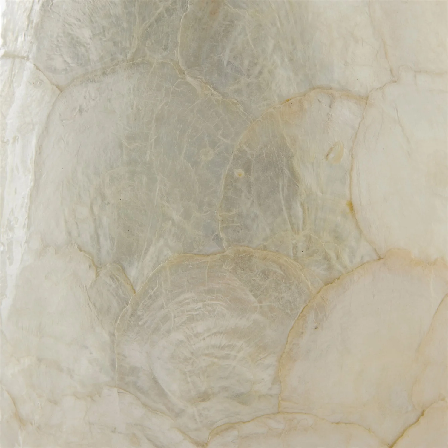 Global Views Gray Abalone Shell Scaled Lamp - Image 3