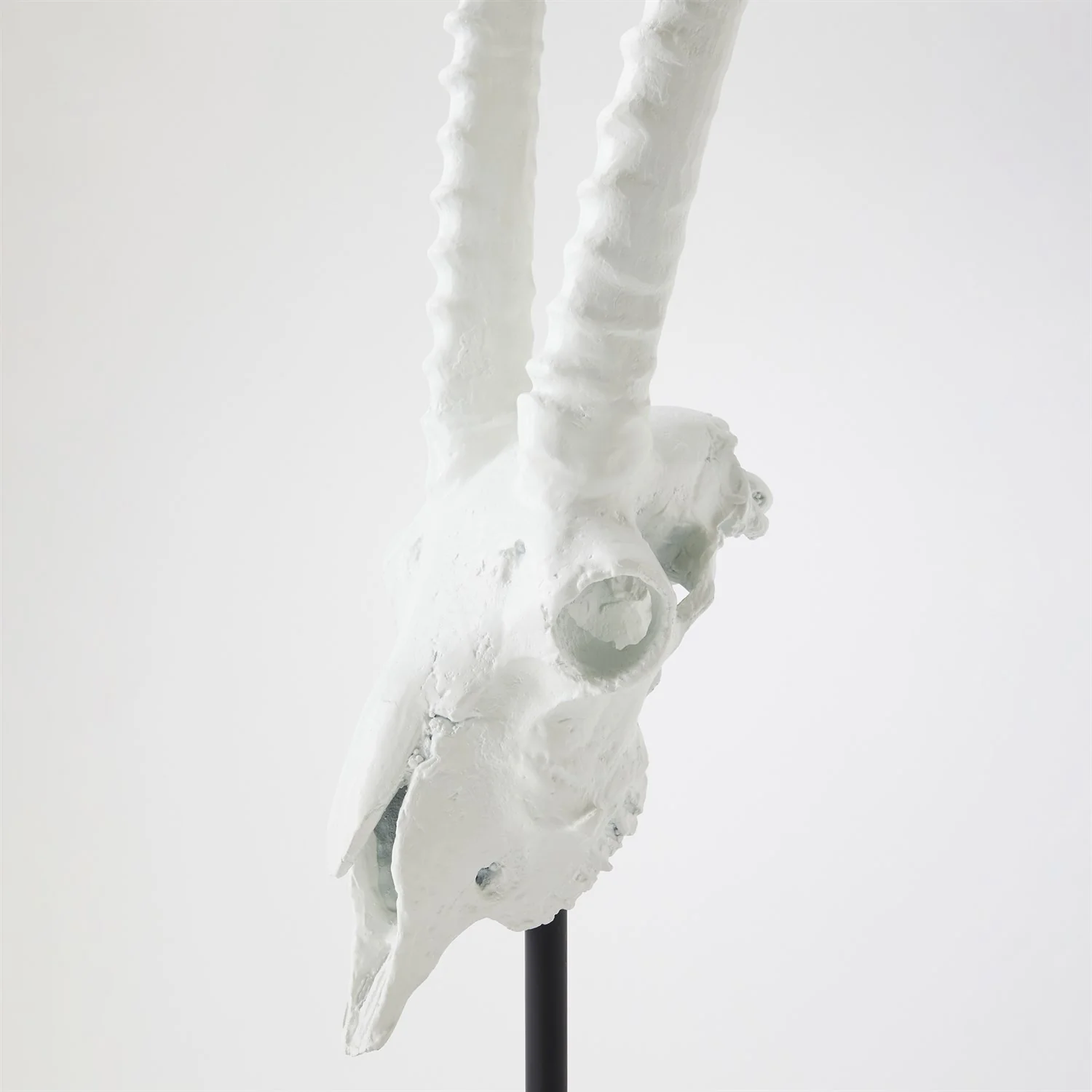 Global Views Matte White Gemsbok Skull Sculpture - Image 4