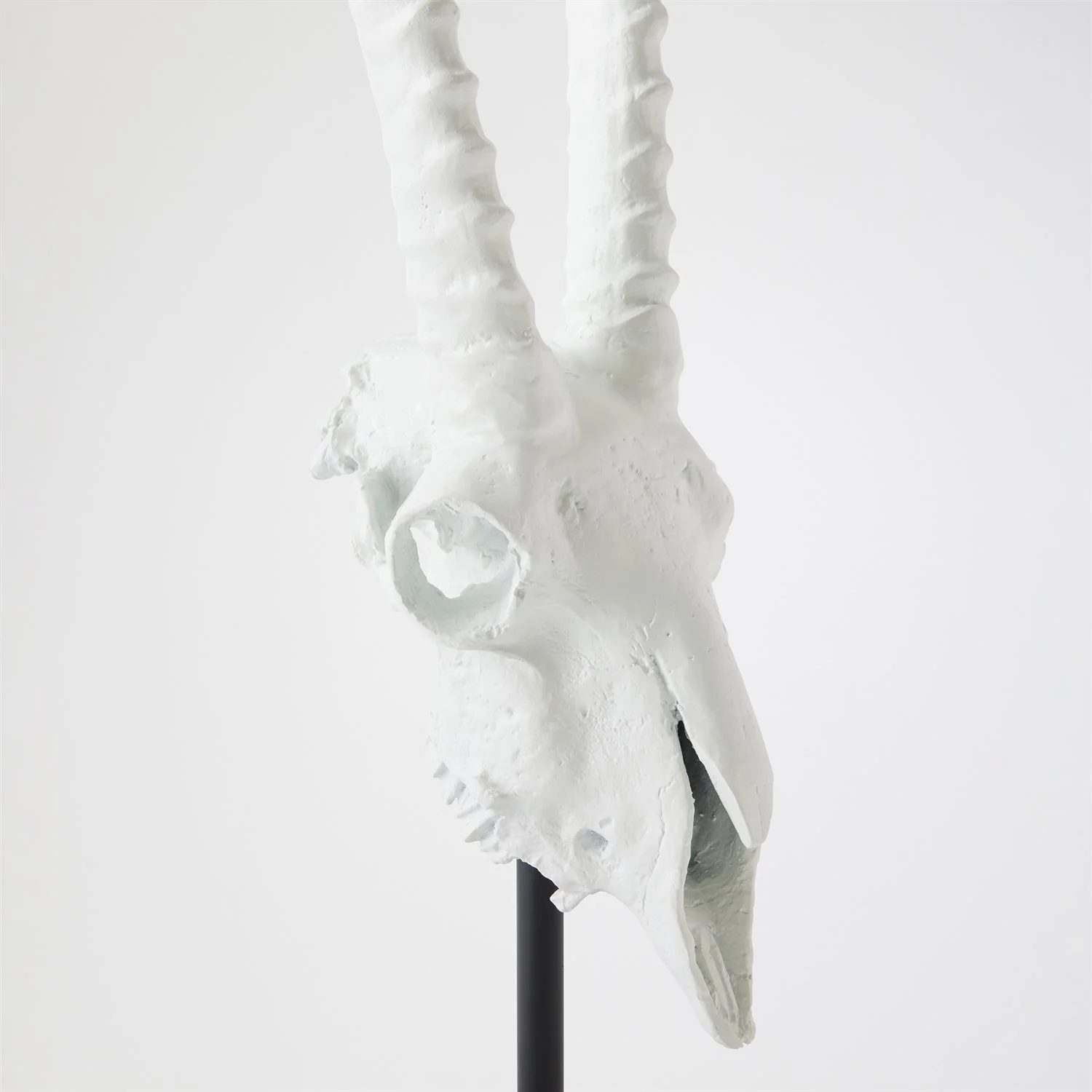 Global Views Matte White Gemsbok Skull Sculpture - Image 5