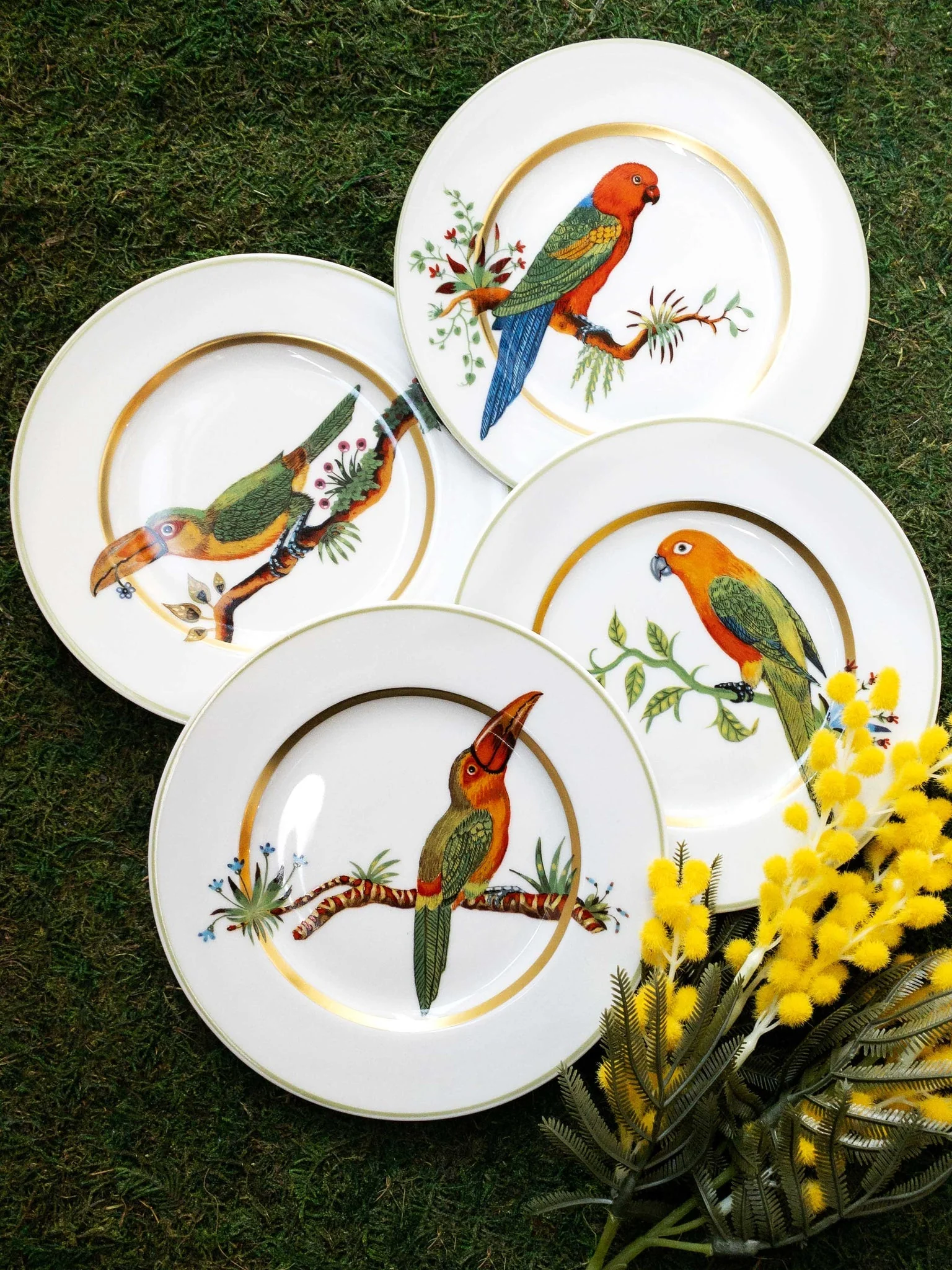 Haviland Alain Thomas Red Parrot Bread and Butter Plate - Image 3