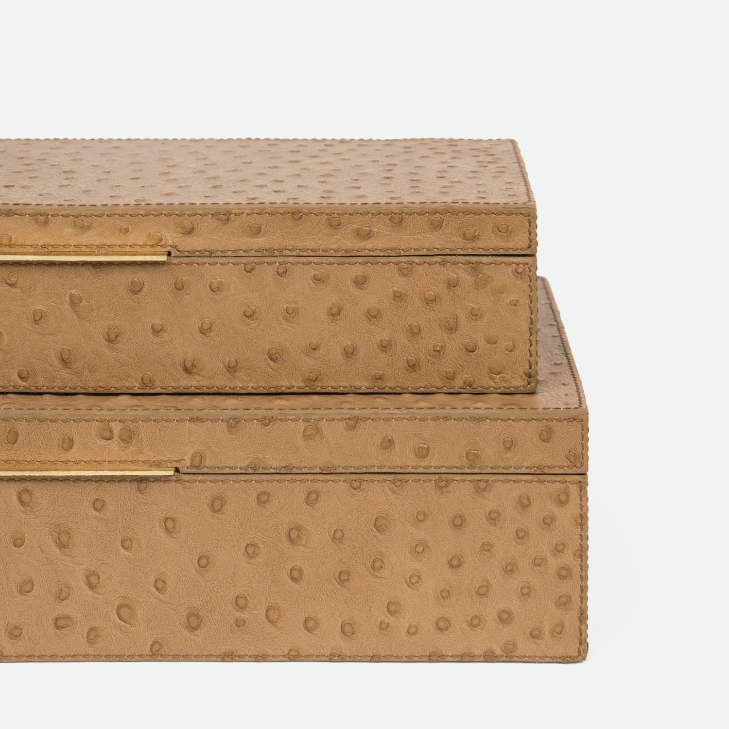 Imani Ostrich Embossed Leather Box - Set of 2 - Image 11