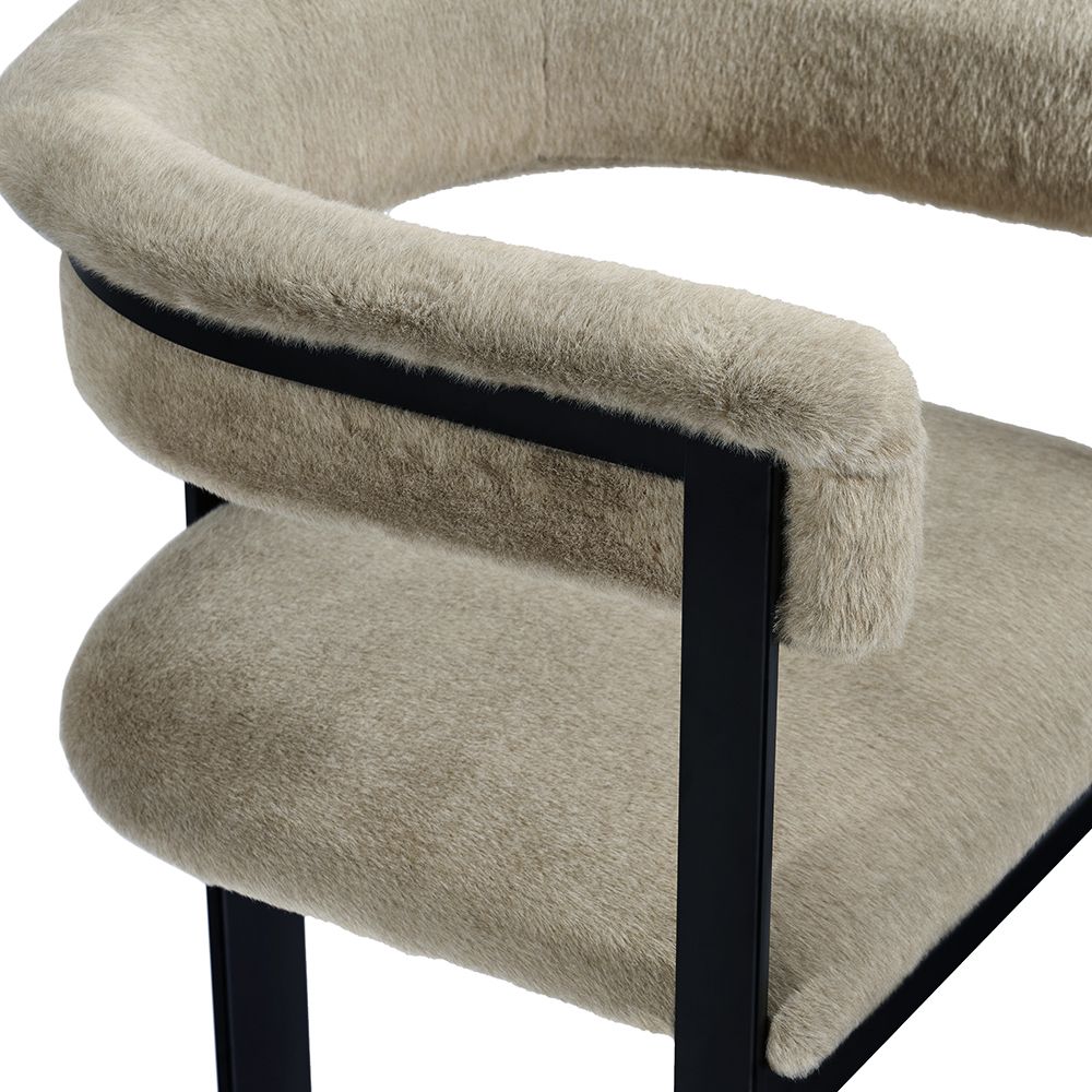 Interlude Darcy Dining Chair in Black - Image 5