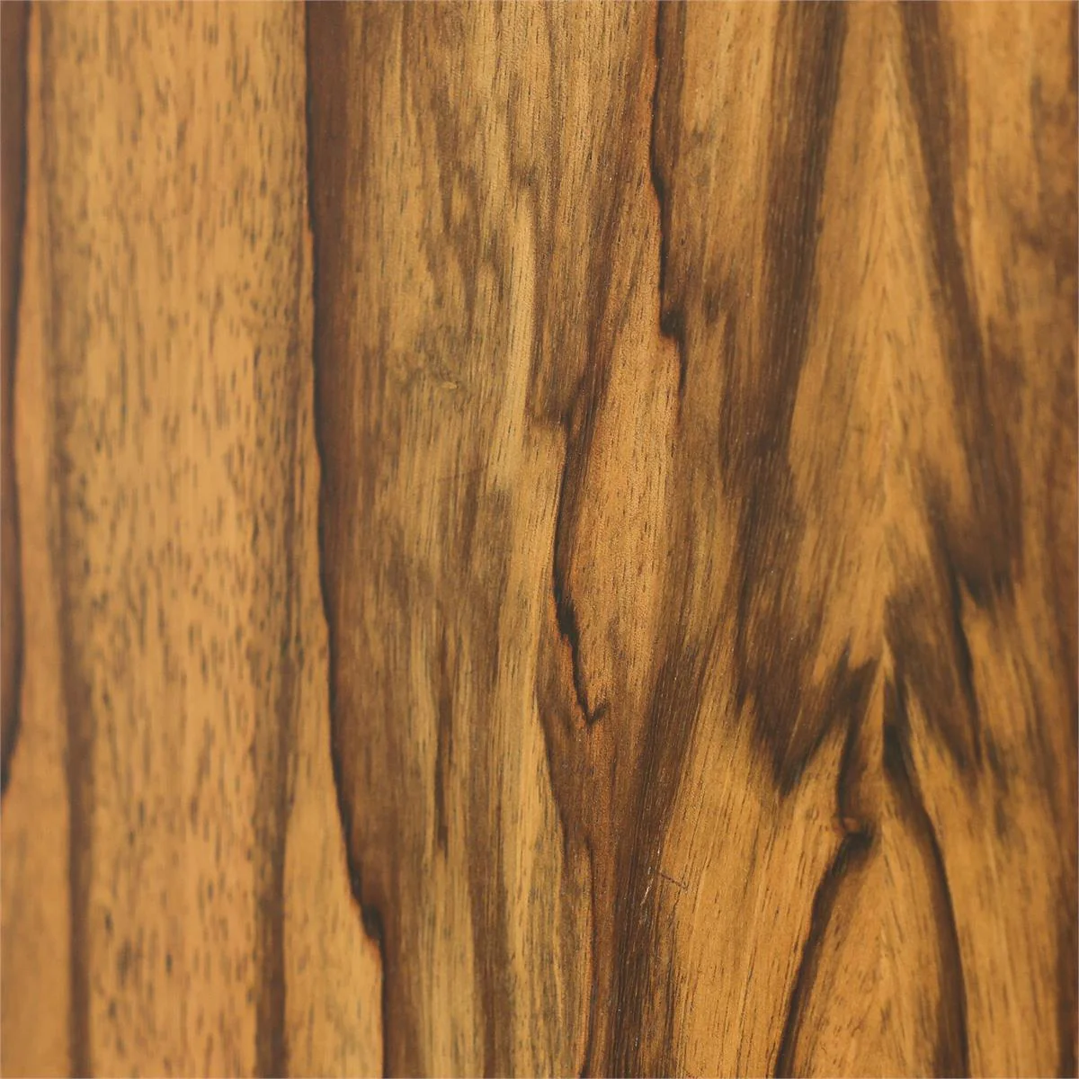 John Richard Borneo Six-Drawer Chest - Image 5