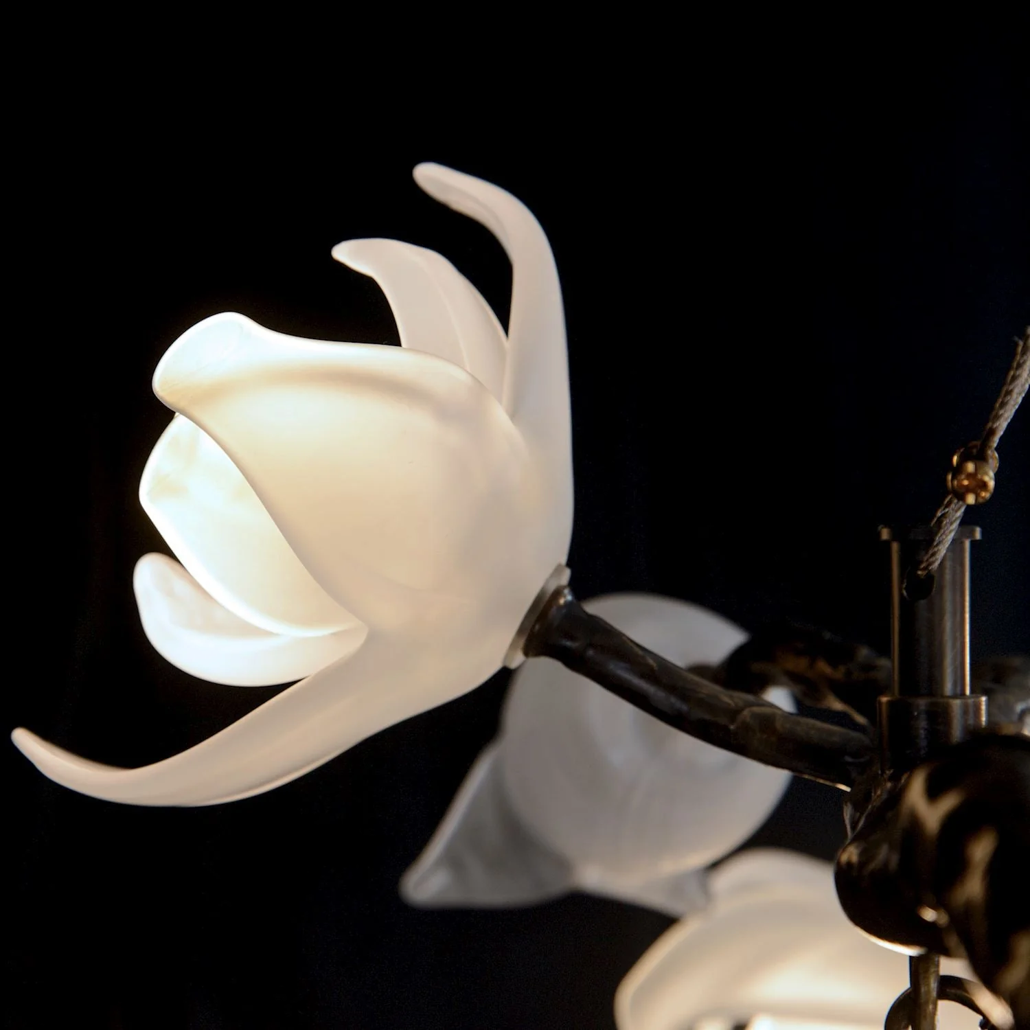 John Richard Churippu Magnolia & Tulip Glass Bronze Vertical Twenty-One Light Chandelier - Image 6