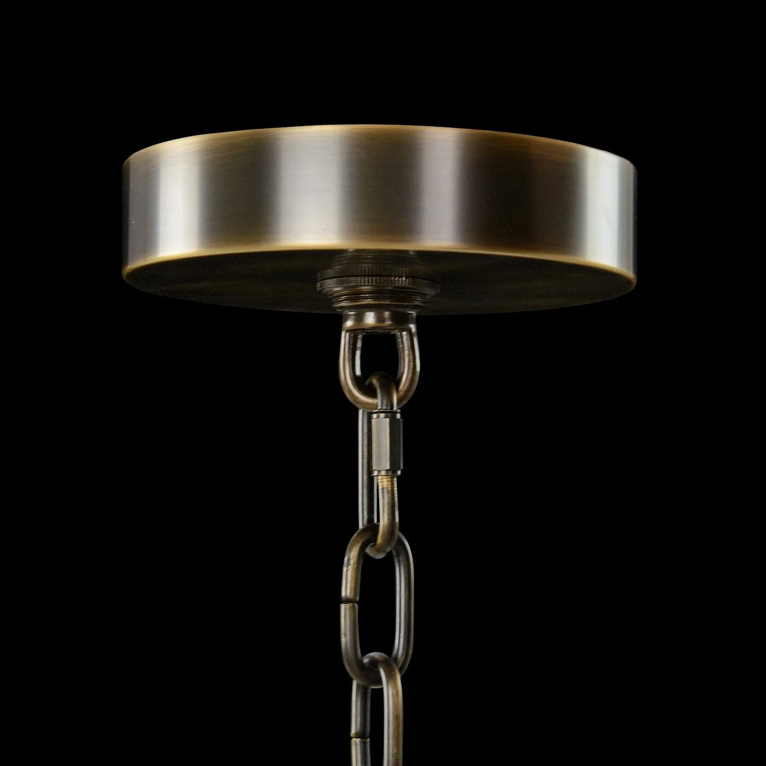 John Richard Churippu Magnolia & Tulip Glass Bronze Vertical Twenty-One Light Chandelier - Image 8