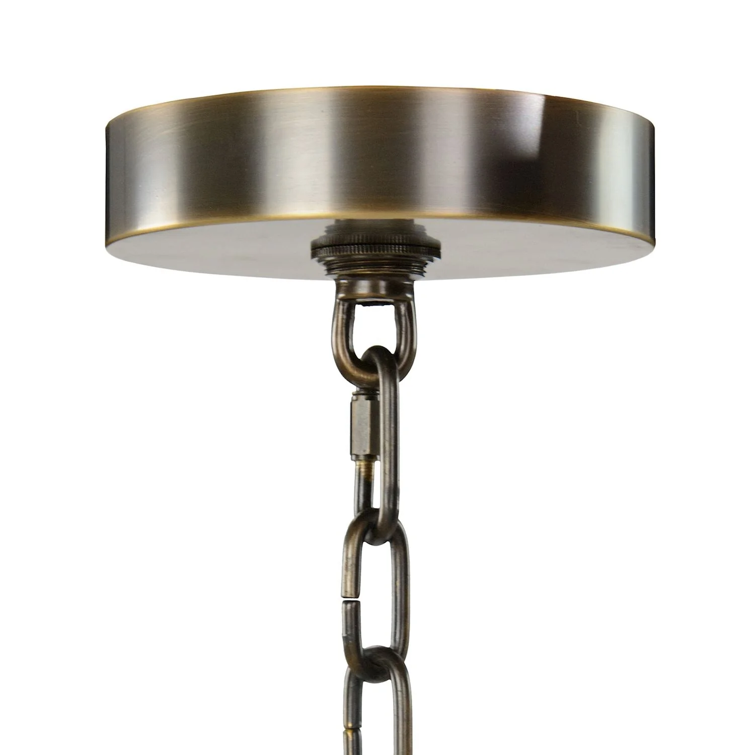 John Richard Churippu Magnolia & Tulip Glass Bronze Vertical Twenty-One Light Chandelier - Image 9