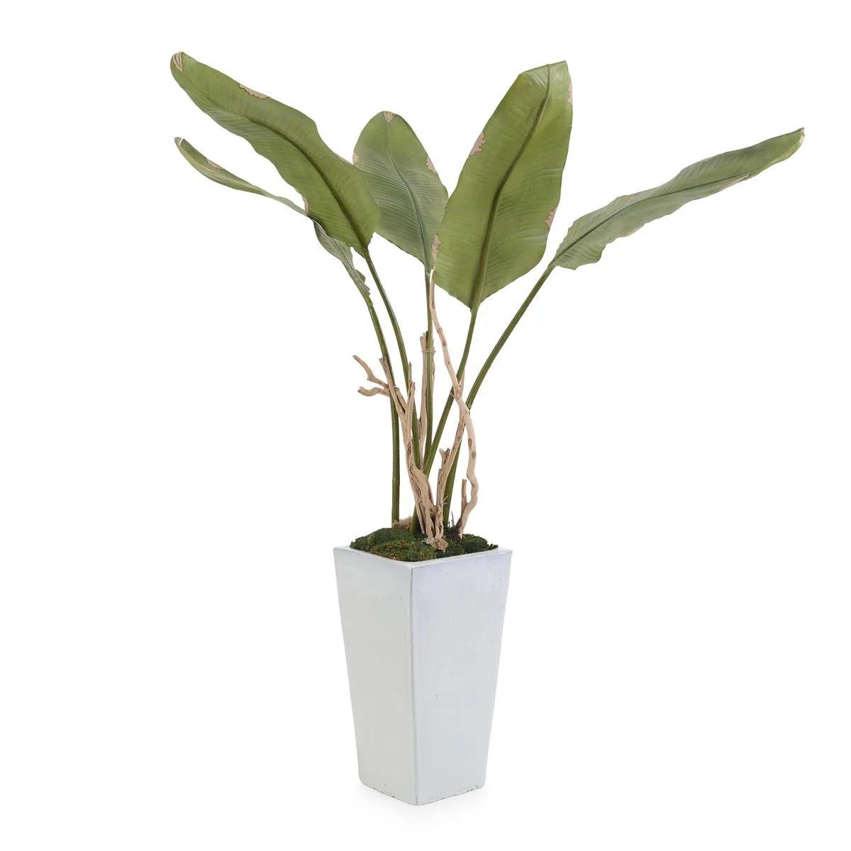 John Richard Decor Banana
