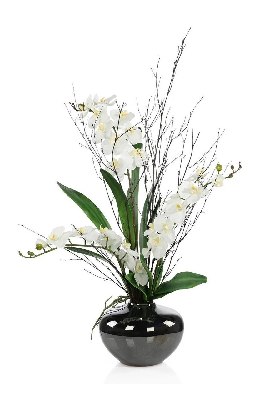 John Richard Decor Black Bamboo & Orchids