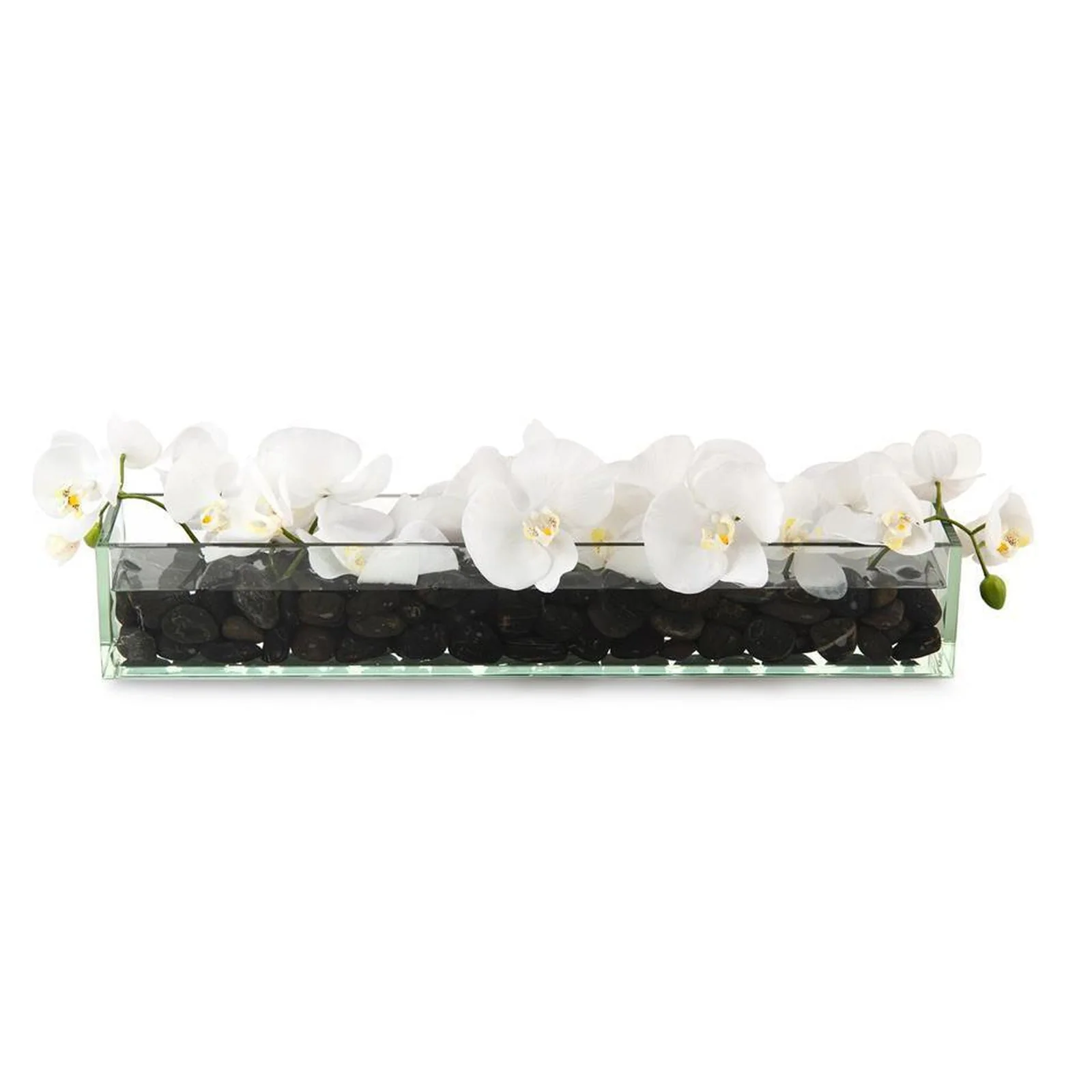 John Richard Decor Domino
