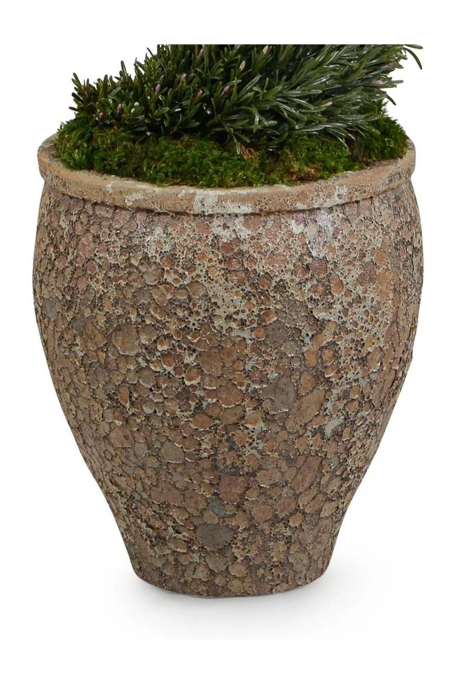 John Richard Decor Garden Rosemary Spiral - Image 2