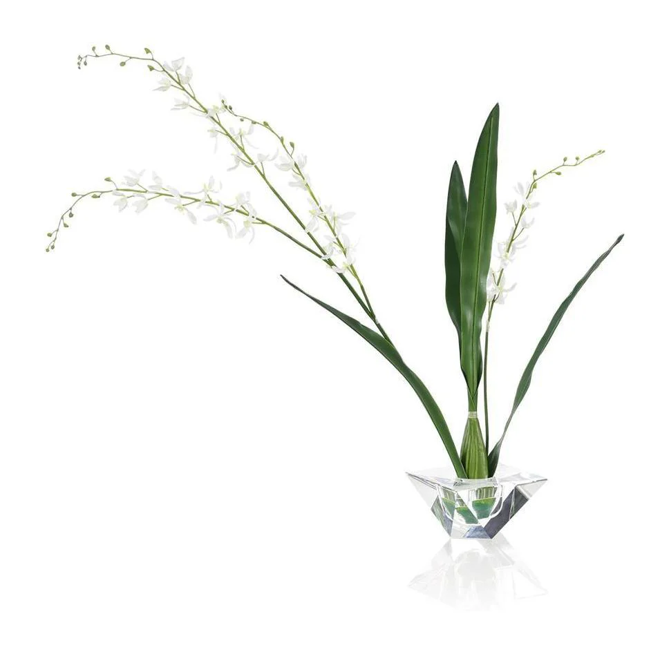 John Richard Decor Graceful Cymbidium