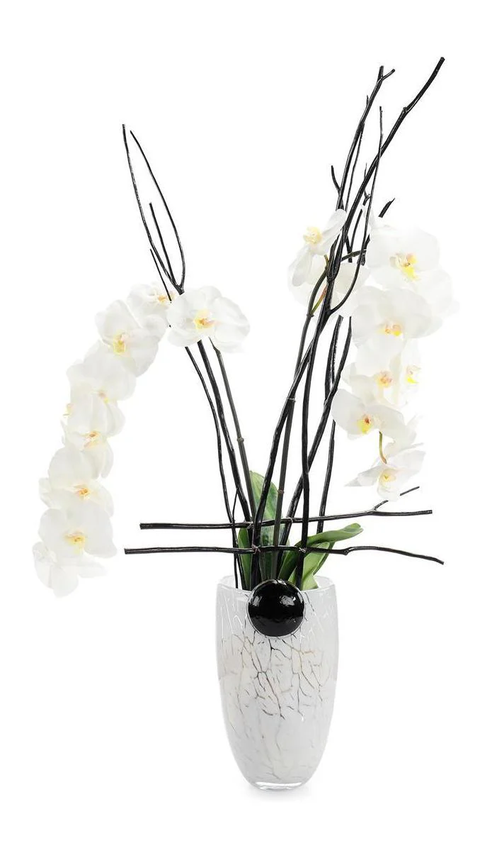 John Richard Decor Midnight Phals II