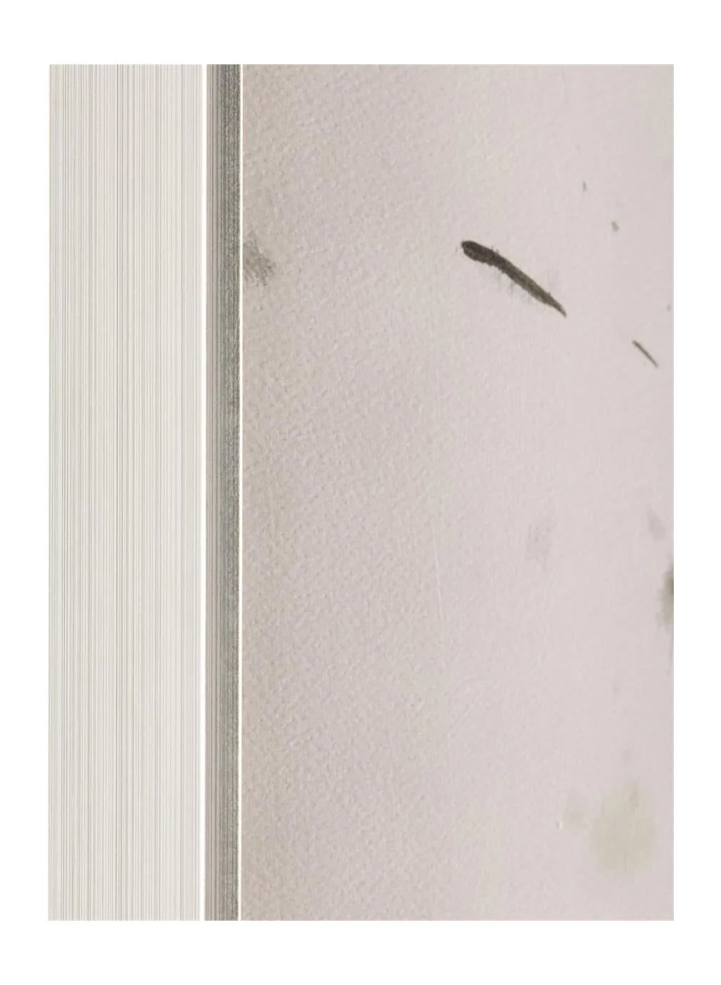 John Richard Decor Natural Glow I - Image 2
