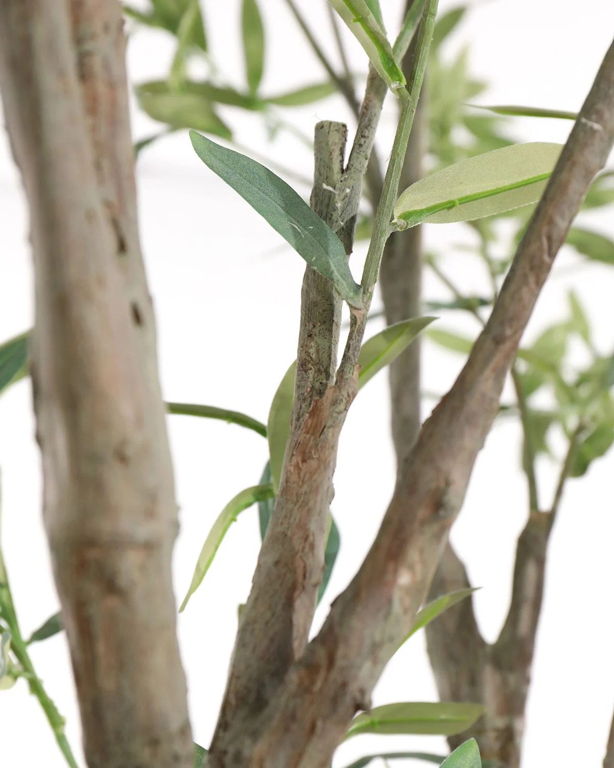 John Richard Decor Tuscan Olive - Image 3