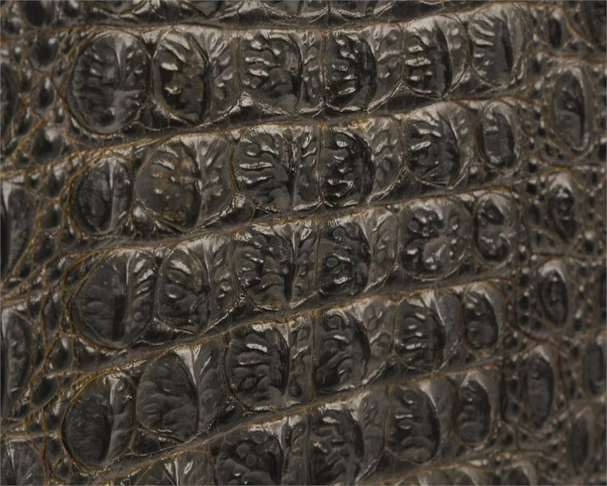 John Richard Greystoke Cabinet - Image 3