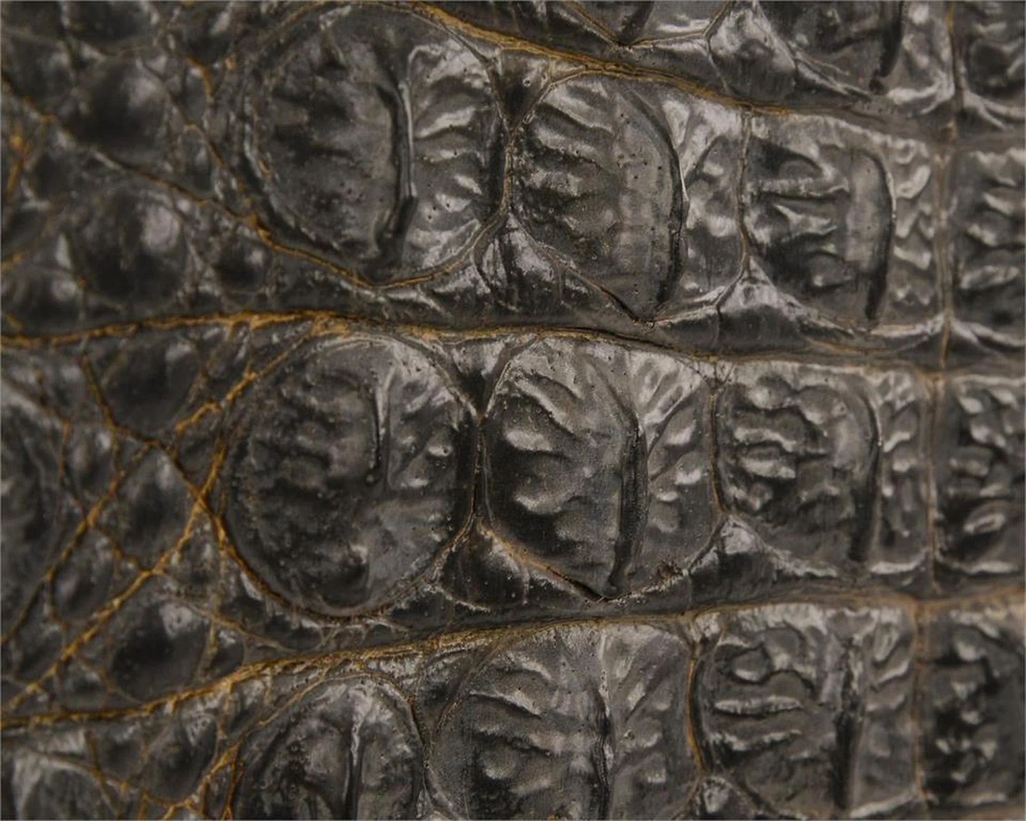 John Richard Greystoke Sideboard - Image 3