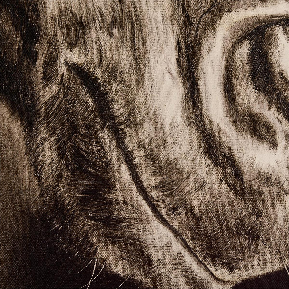 John Richard LM Zhou's Noble Equine - Image 4