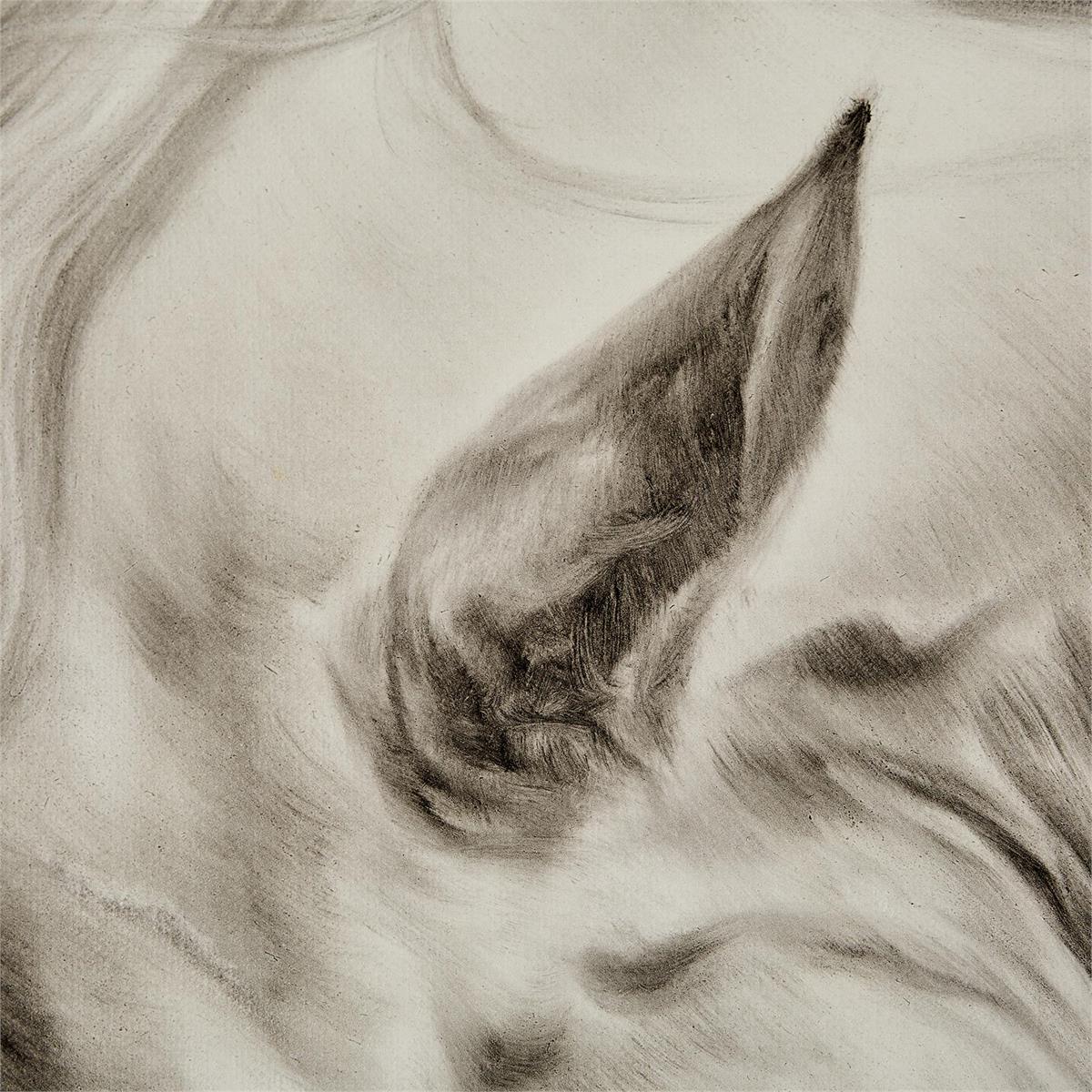 John Richard LM Zhou's Surging Equine - Image 4