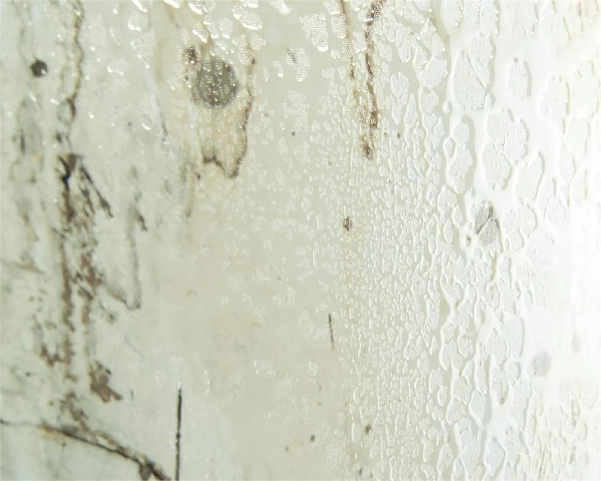 John Richard Mark Mcdowell's Gilded Ivory Wall Art - Image 3