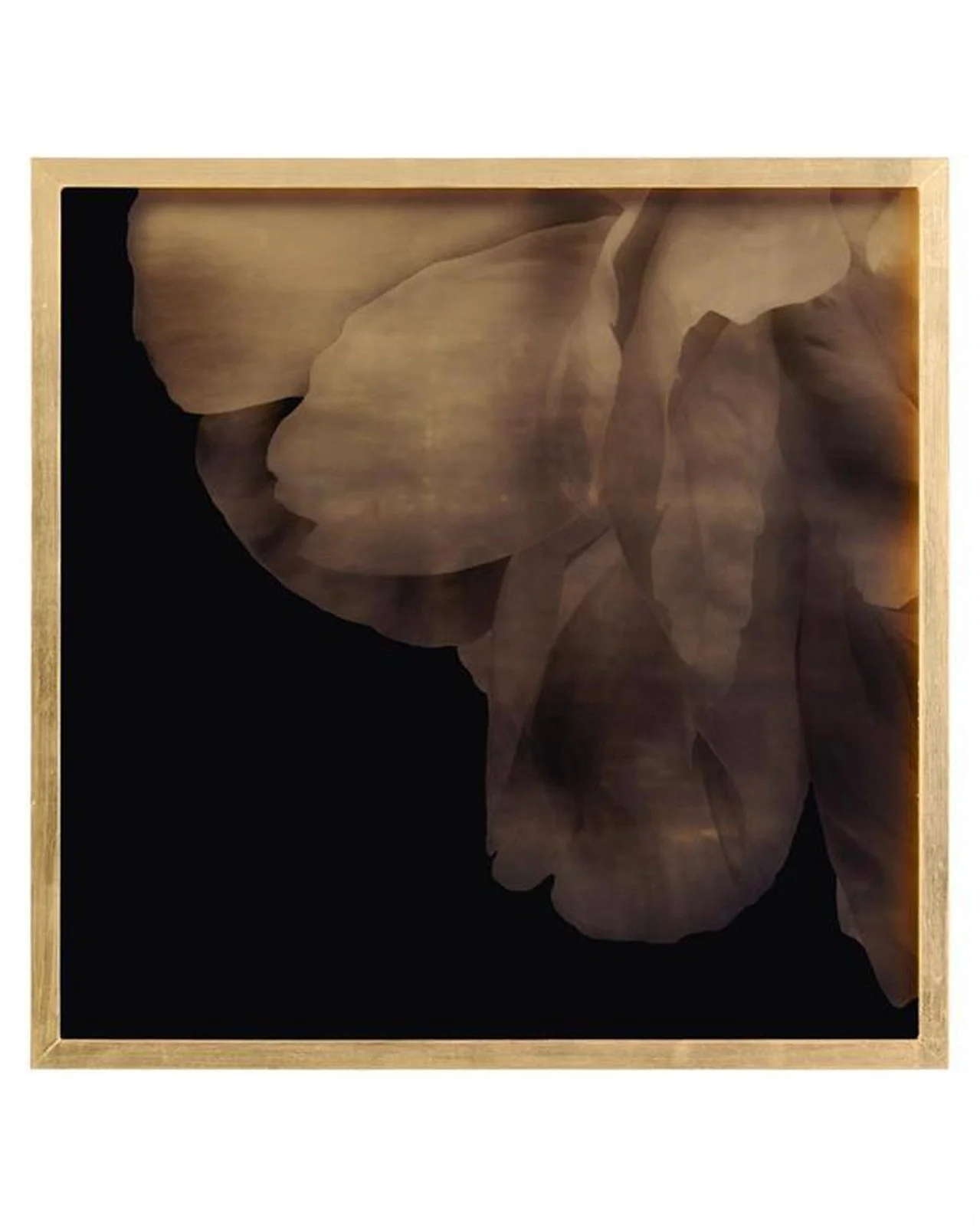 John Richard Mark Mcdowell's Shi Hana Wall Art - Image 4