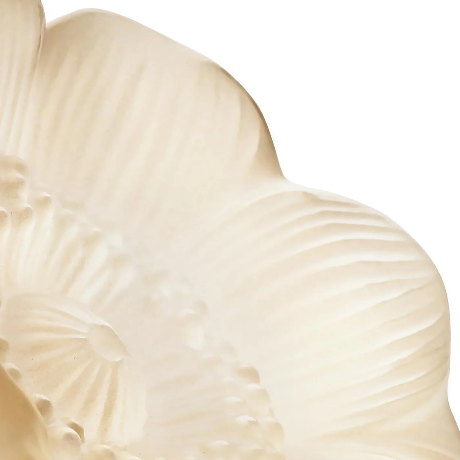 Lalique Anemone Small Sculpture - Image 4