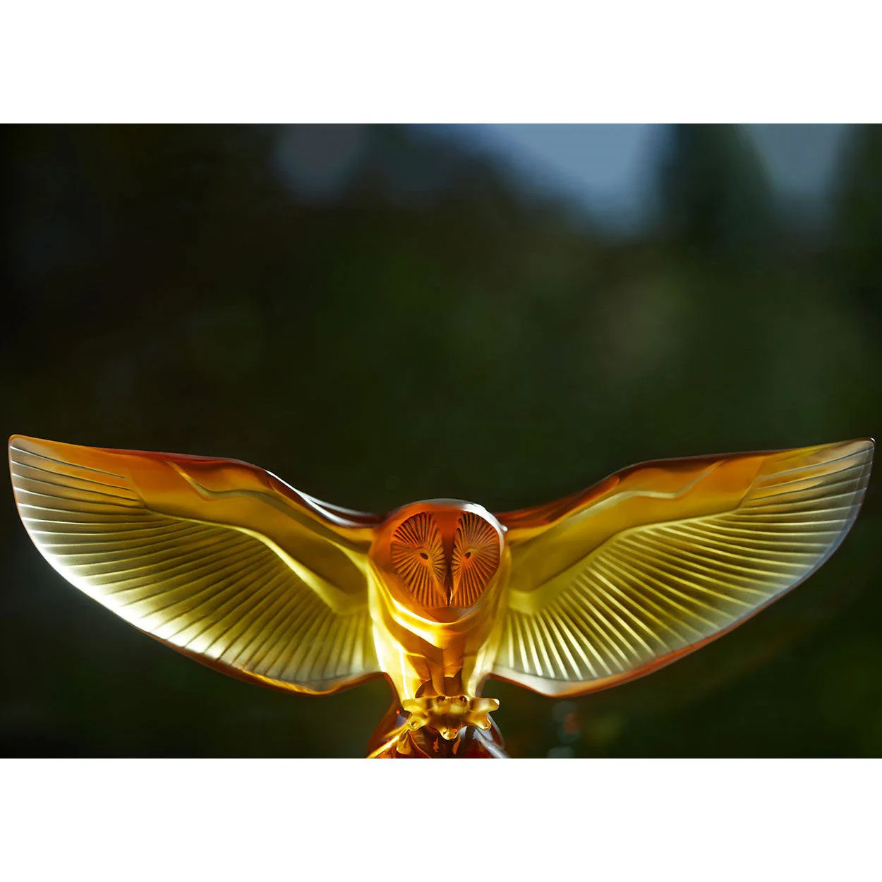 Lalique Barn Owl Sculpture - Image 4