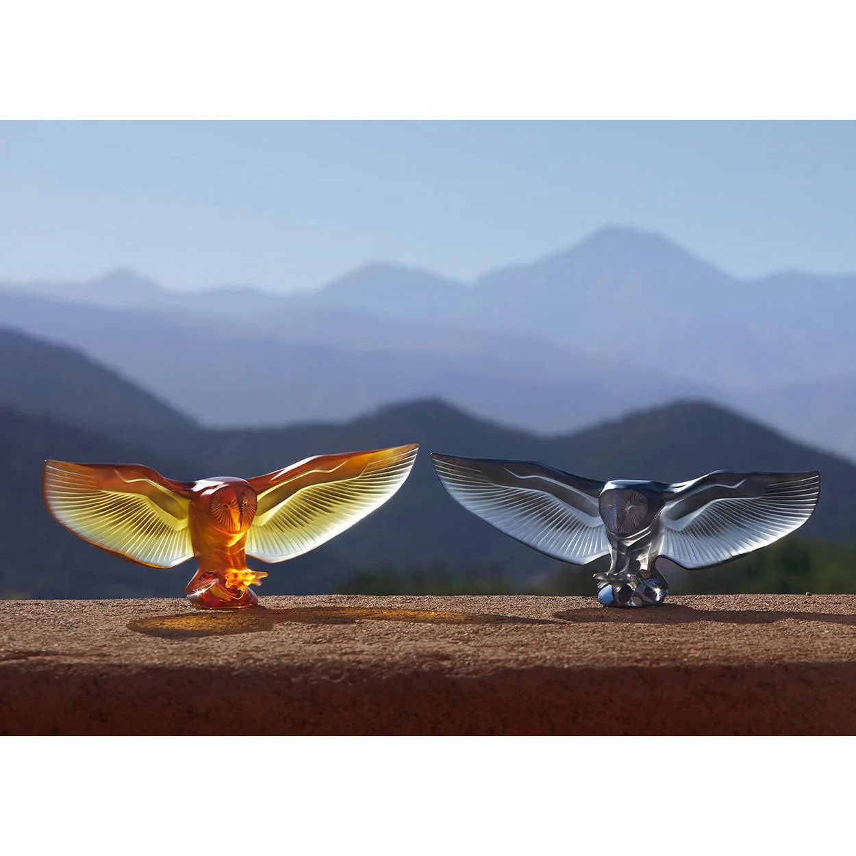 Lalique Barn Owl Sculpture - Image 6