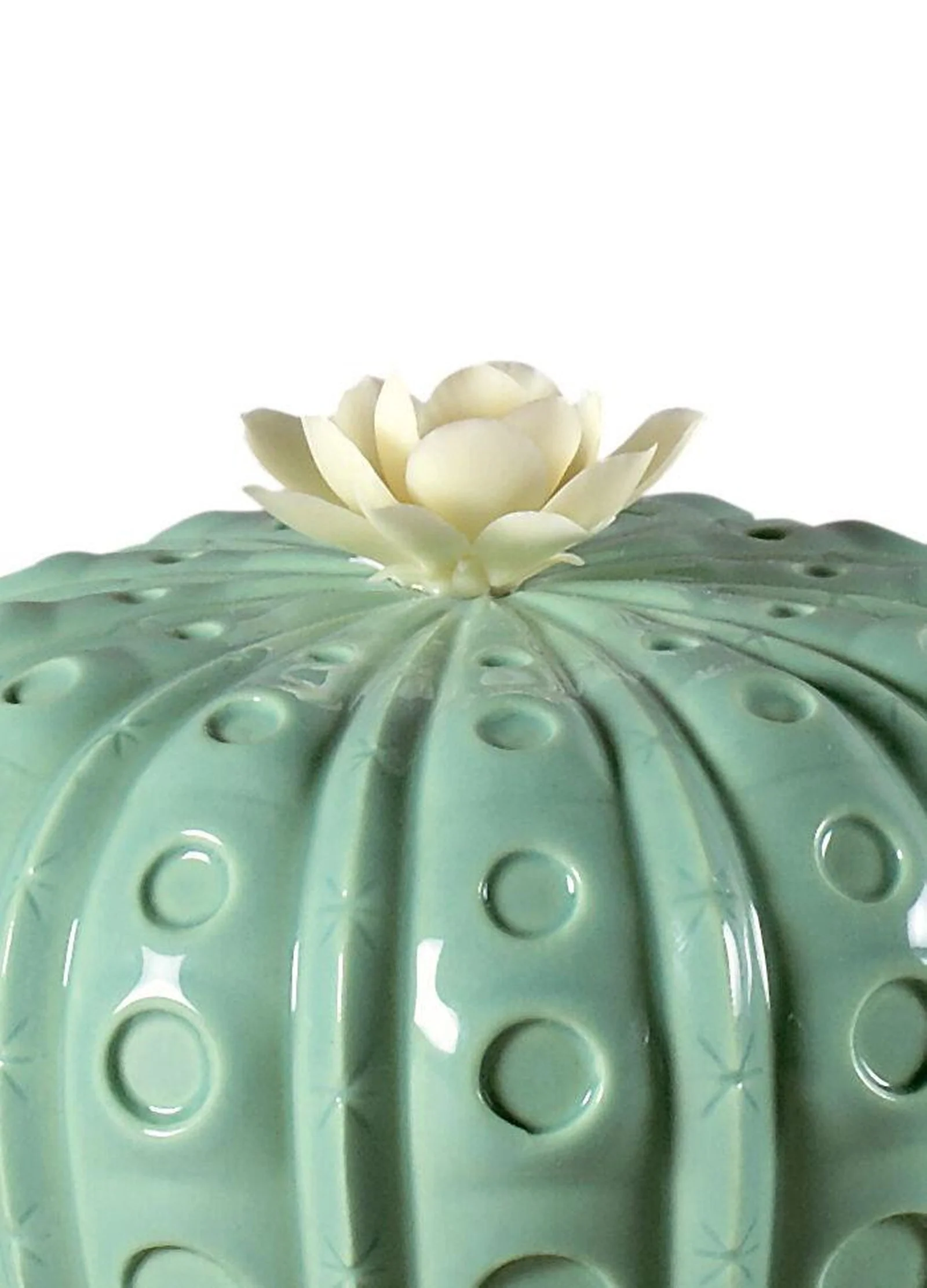 Lladro Astrophytum Cactus Diffuser - Image 2